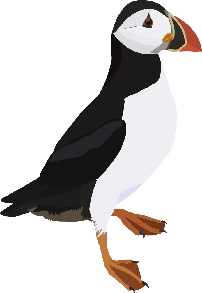 A digital illustration of a puffin bird perched on a wooden surface with a dark background.