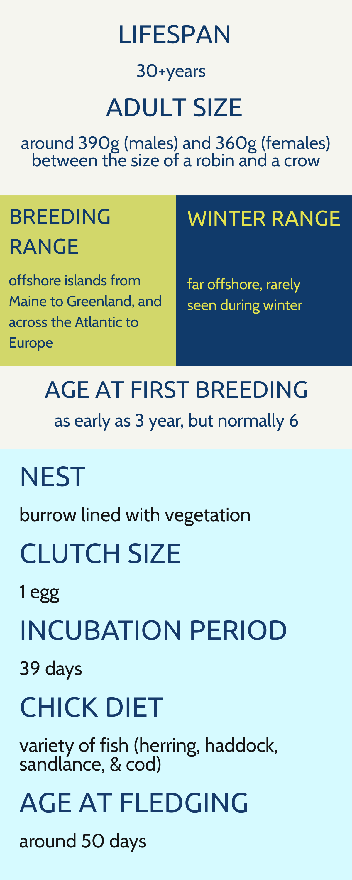 Infographic about  lifecycle, including lifespan of over 30 years, adult size between a robin and a crow, breeding range across offshore Atlantic islands and Europe, infrequent winter sightings, first breeding at 3 to 6 years old, nesting habits, clutch size of one egg, incubation for 39 days, chick diet including various fish, and fledging at around 50 days.