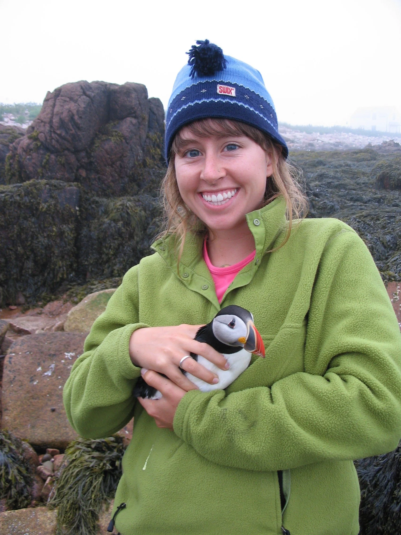 A woman in a green fleece jacket and blue beanie hat holding a puffin bird on a rocky, mossy beach