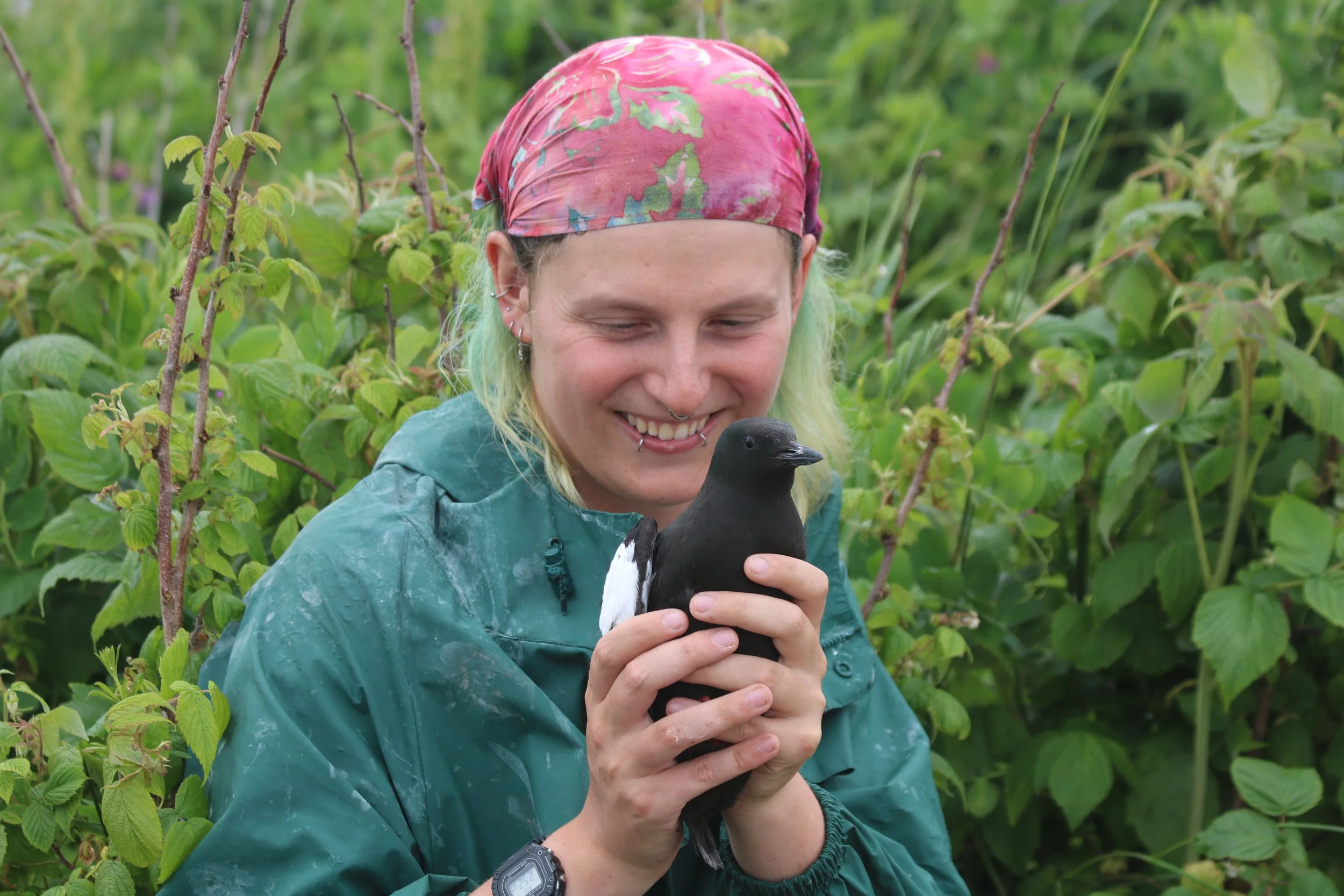 A summer island intern smiling while holding a black guillemot bird with white tail feathers; they are outdoors amidst green foliage.