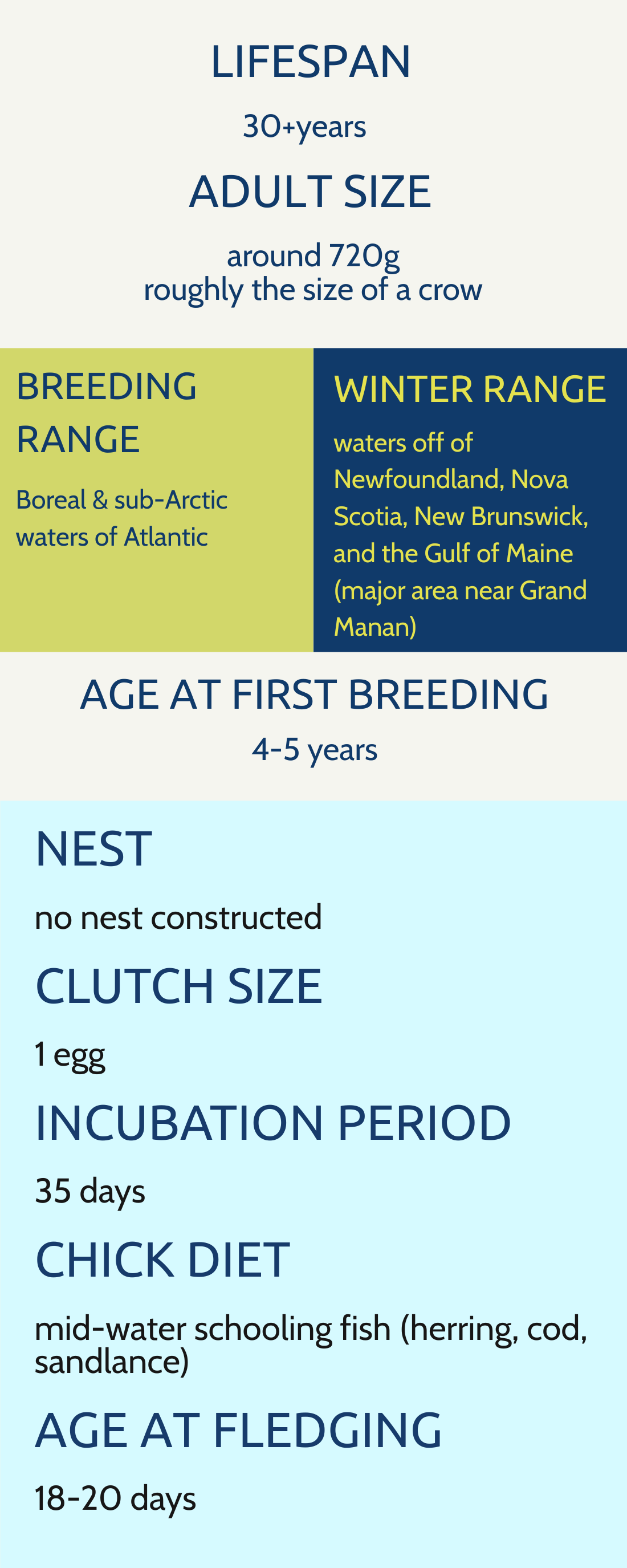 A detailed infographic about the life cycle of a bird, including lifespan, adult size, breeding range, winter range, age at first breeding, nesting, clutch size, incubation period, chick diet, and age at fledging, with color-coded sections and informational text.