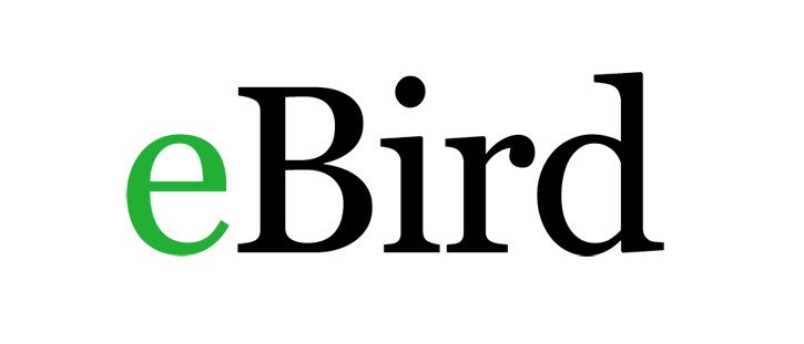 eBird logo