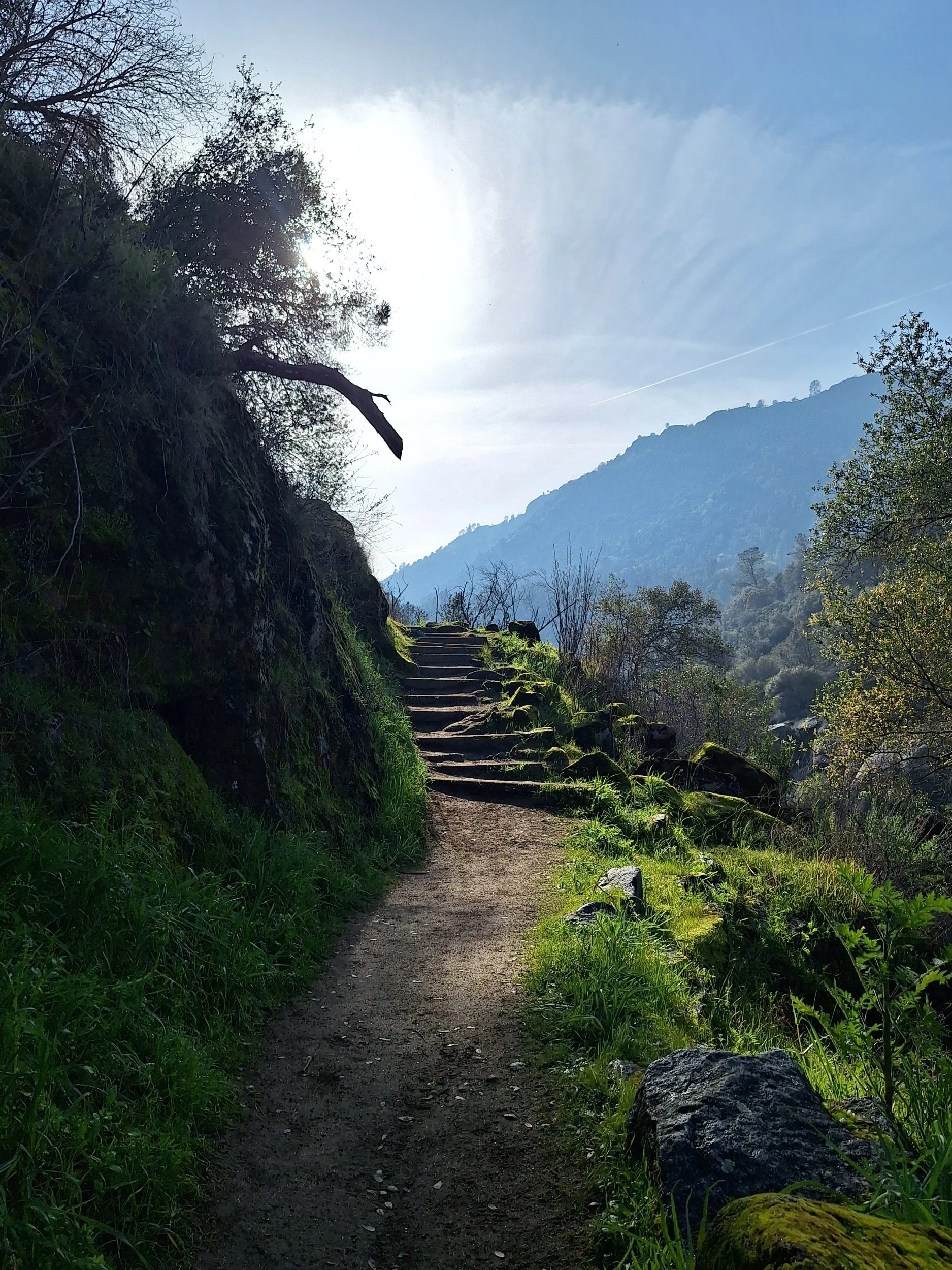 Sunlit hiking path with stone steps winding upward through a green hillside, framed by trees and overlooking a peaceful mountain landscape.