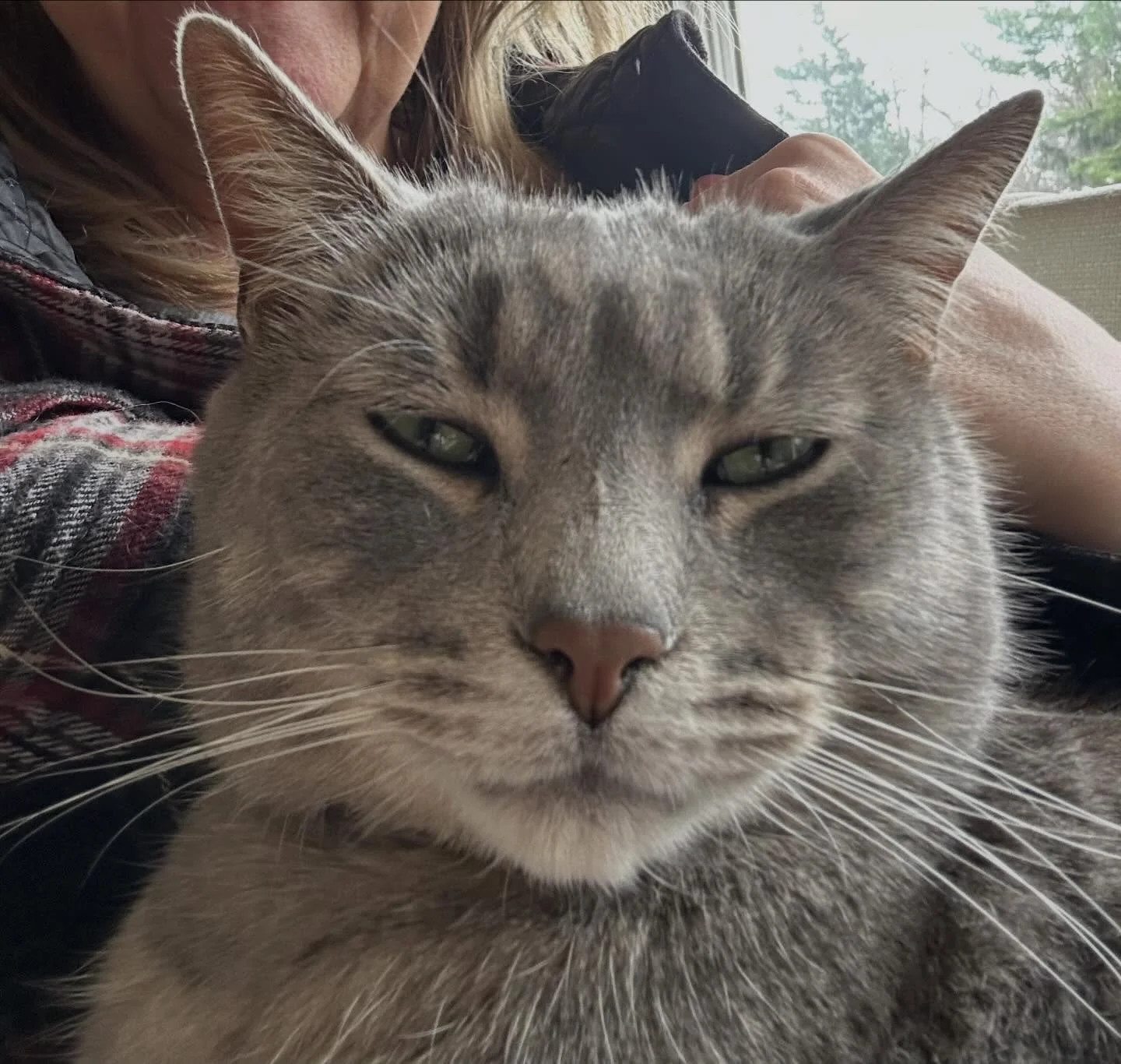 Trying to stay awake on a Friday 
#seniorliving #catsoﬁnstagram #compass