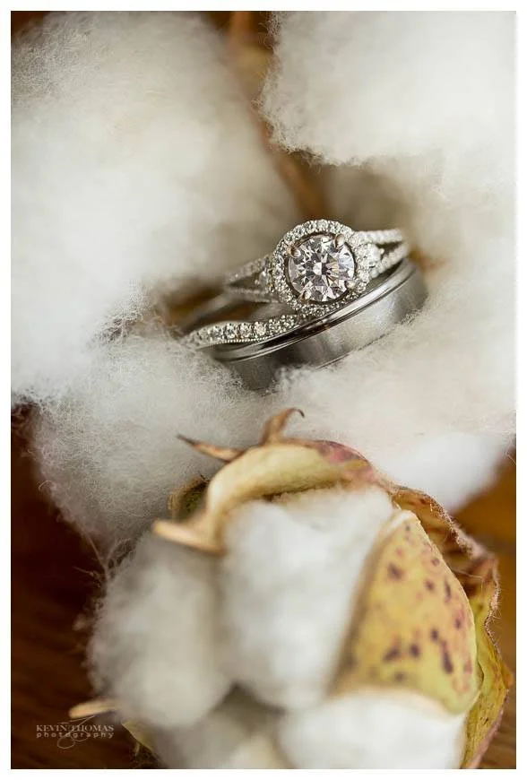 Close-up of two wedding rings, one with a large central diamond surrounded by smaller diamonds, and the other plain, placed on a cotton branch with a cotton boll nearby.