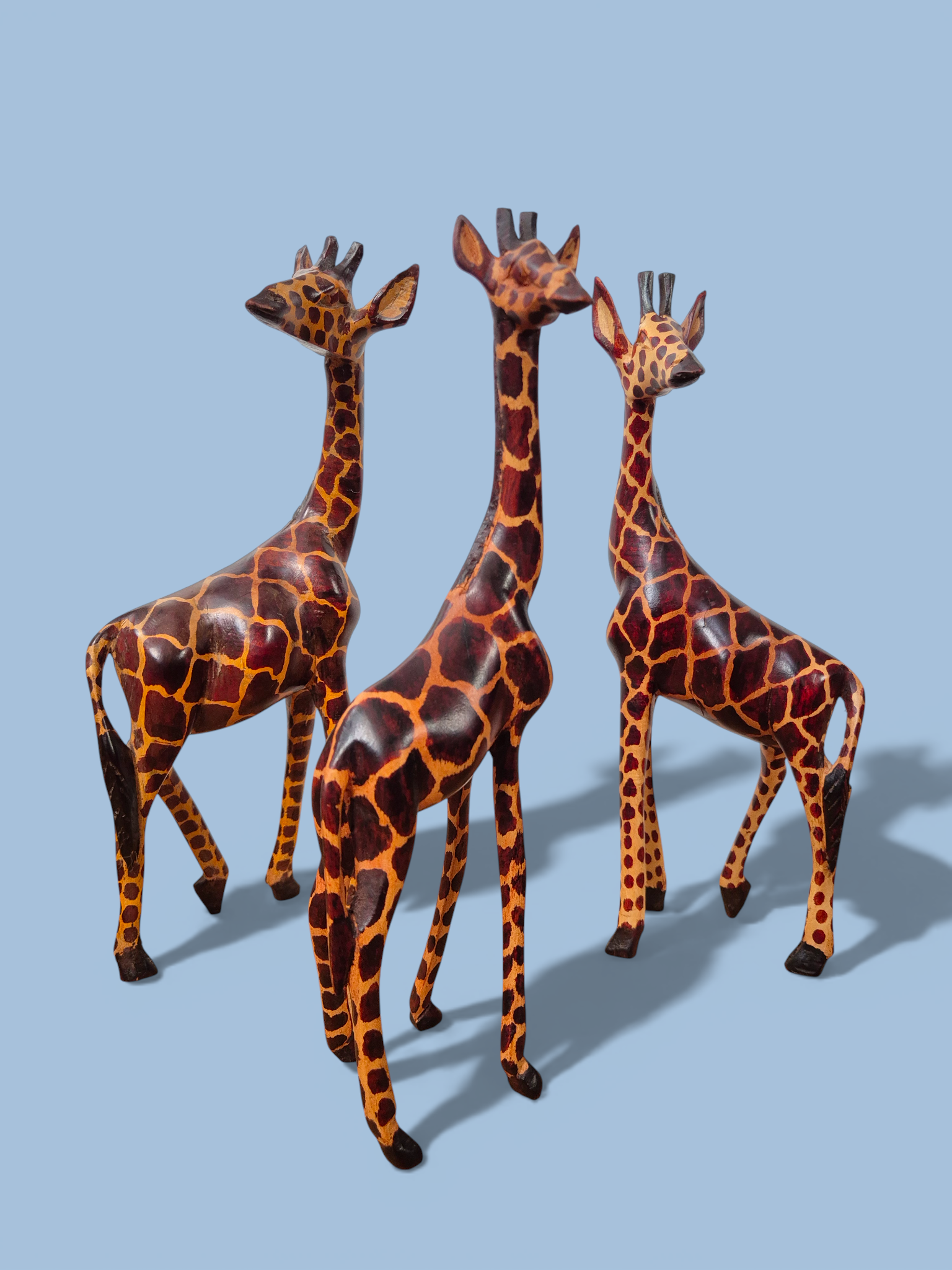 Жирафа Кенія123_АІ (13).png