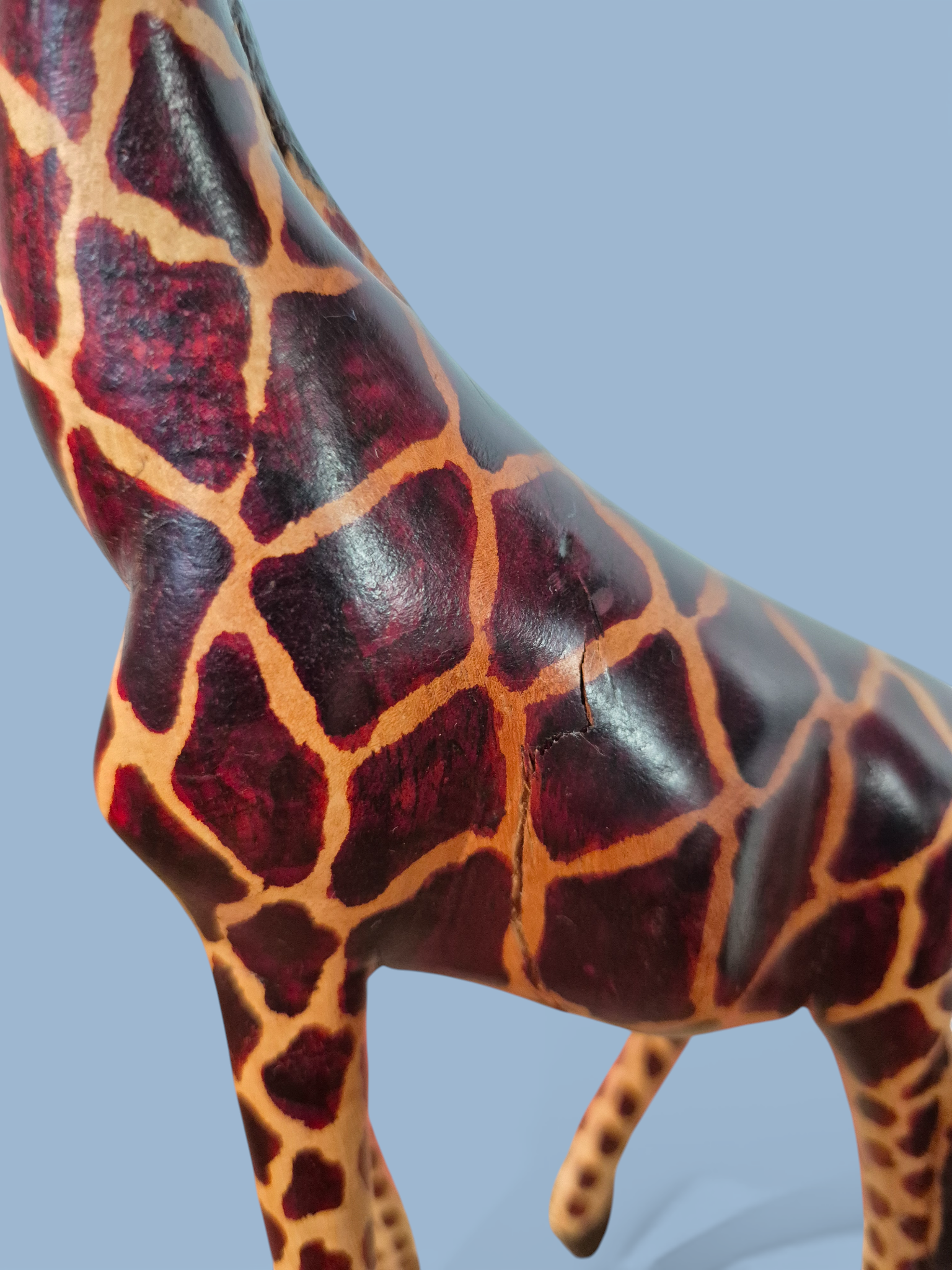 Жирафа Кенія123_АІ (6).png