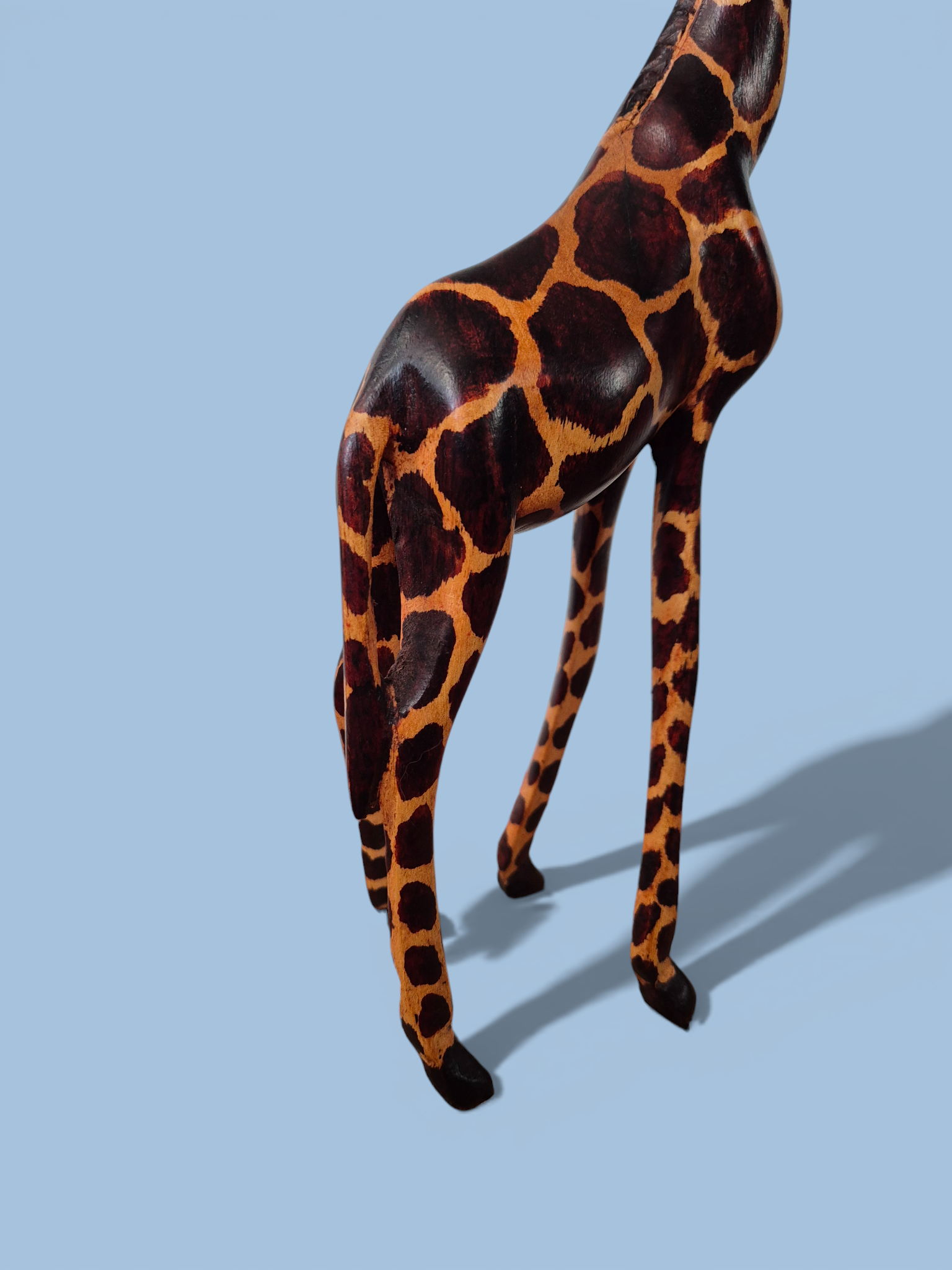 Жирафа Кенія123_АІ (2).png