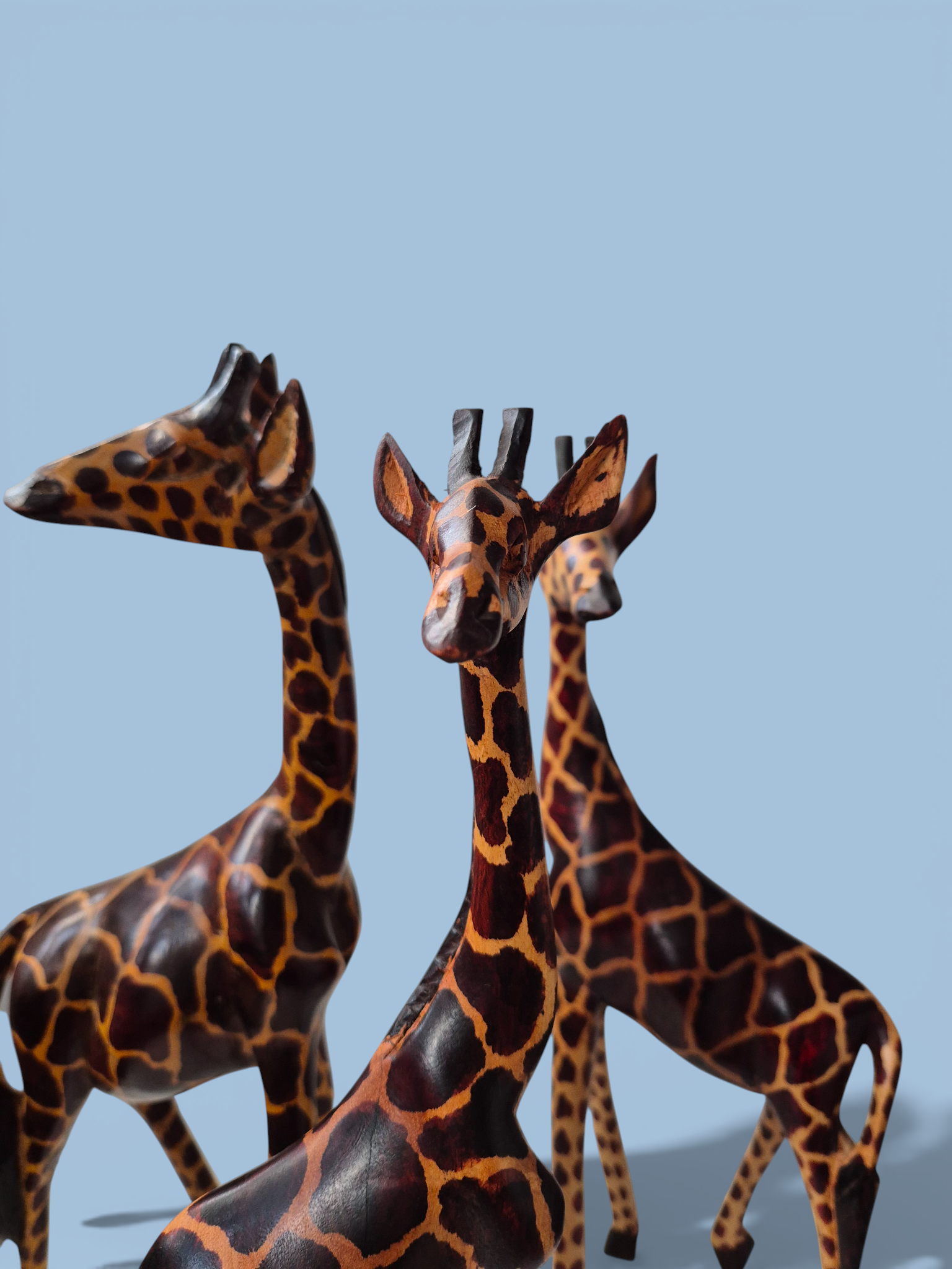 Жирафа Кенія123_АІ (9).png