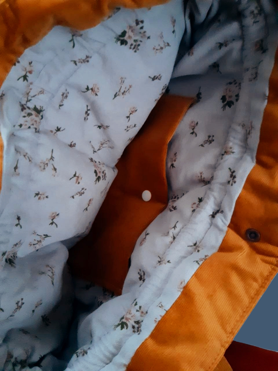 Осінні соняхи_AI (14).png