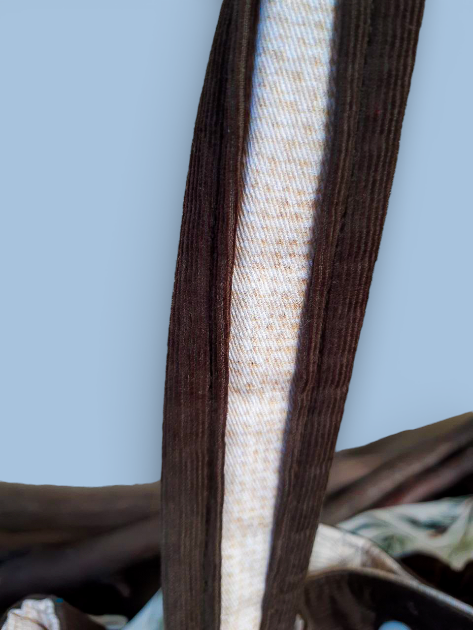 Будинок та олені_AI (6).png