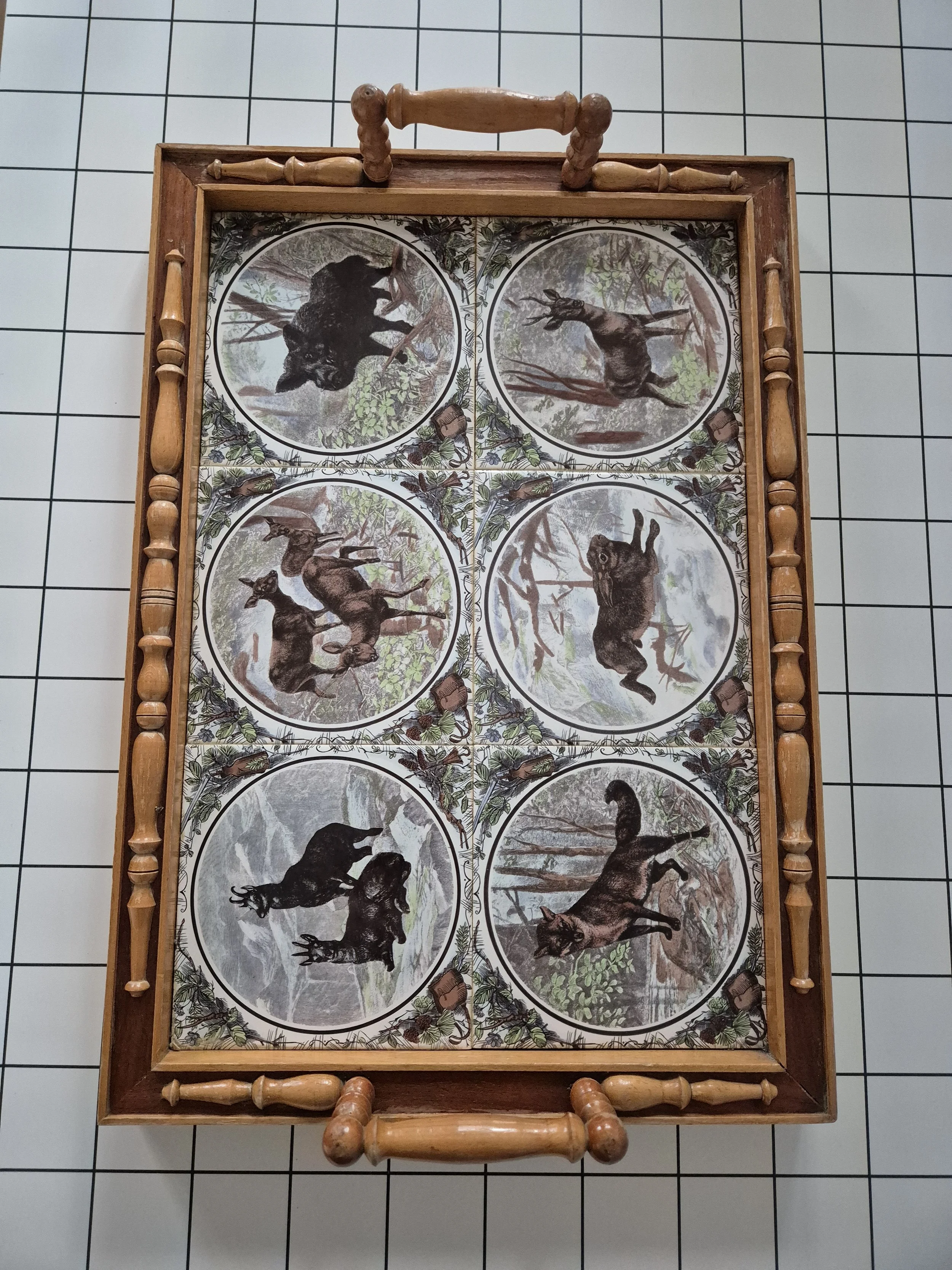 Таця Дикі звірі