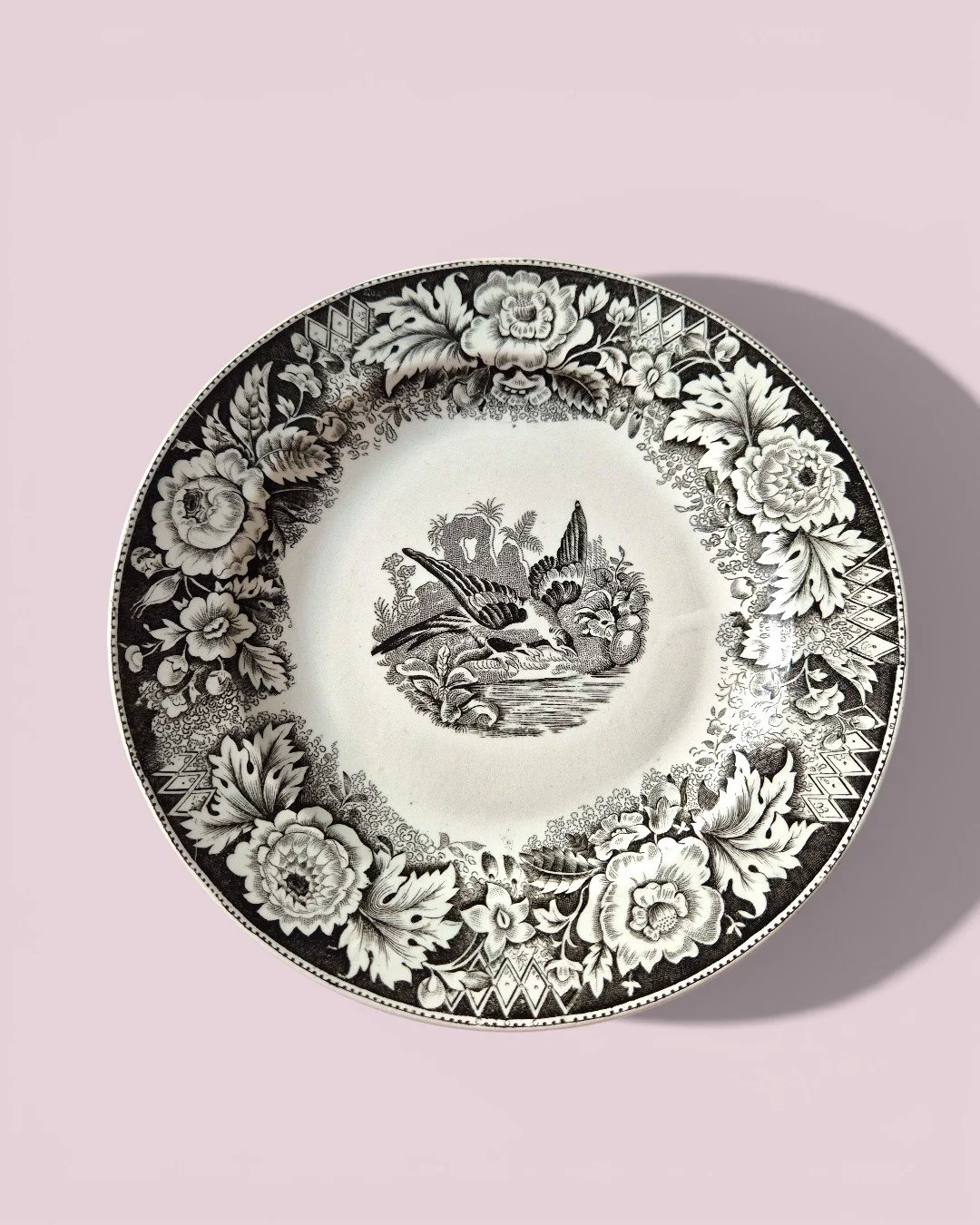 Тарілка Сойка