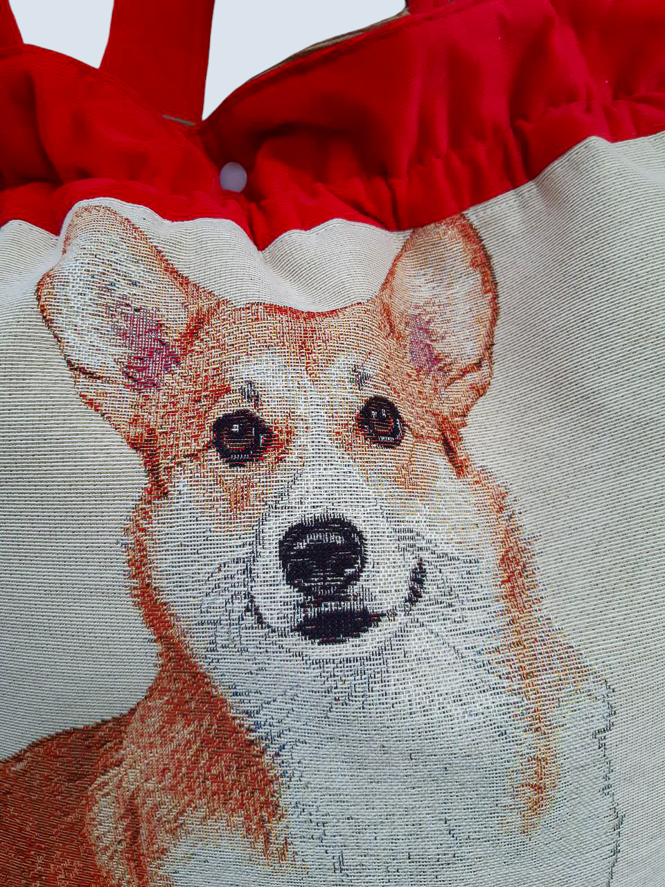 Коргі_AI (5).png