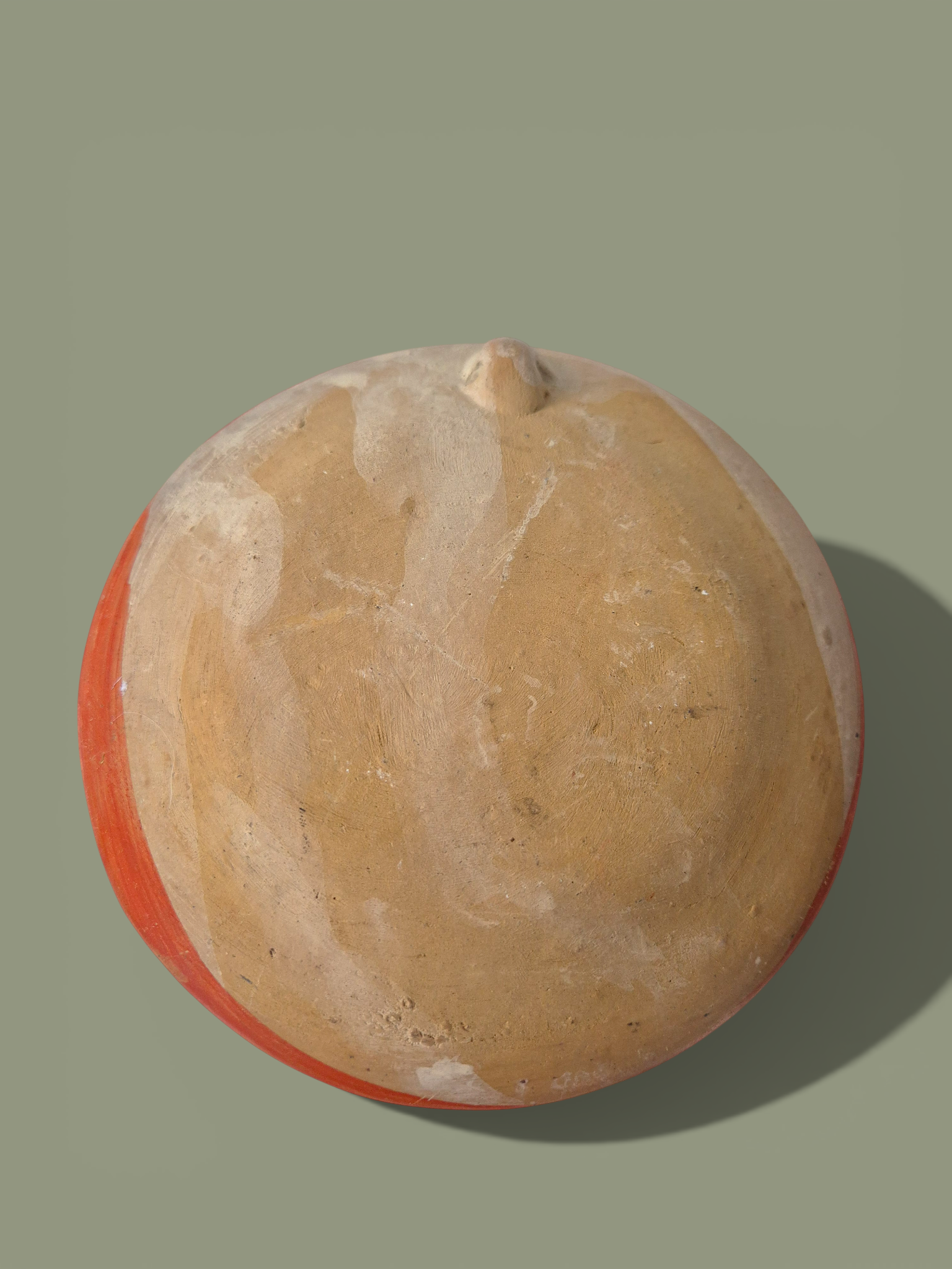 Тарілка Мексиканський птах 12_AI (1).png