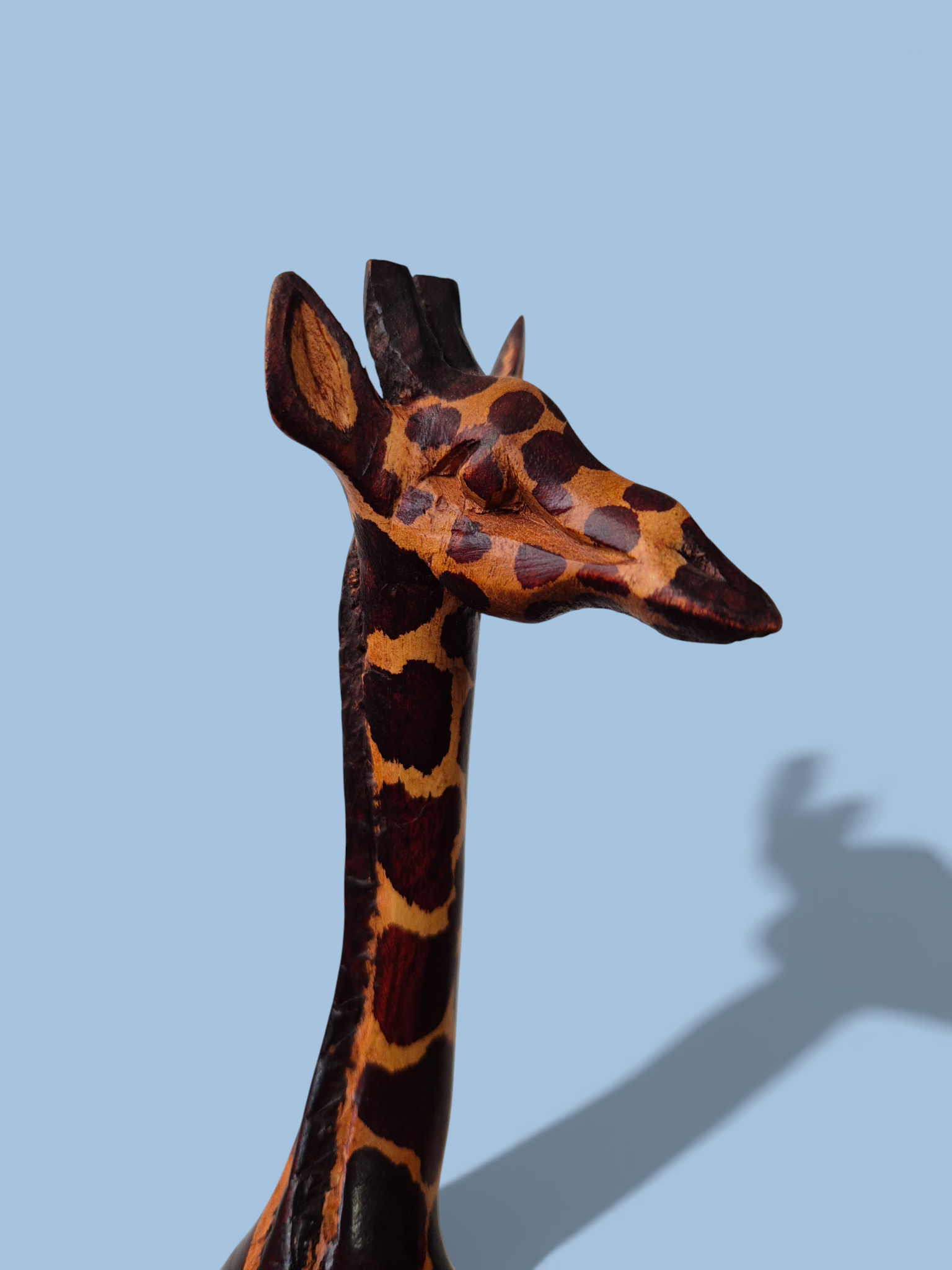 Жирафа Кенія123_АІ (3).png