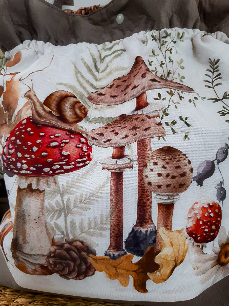 Гриби 2_AI (3).png