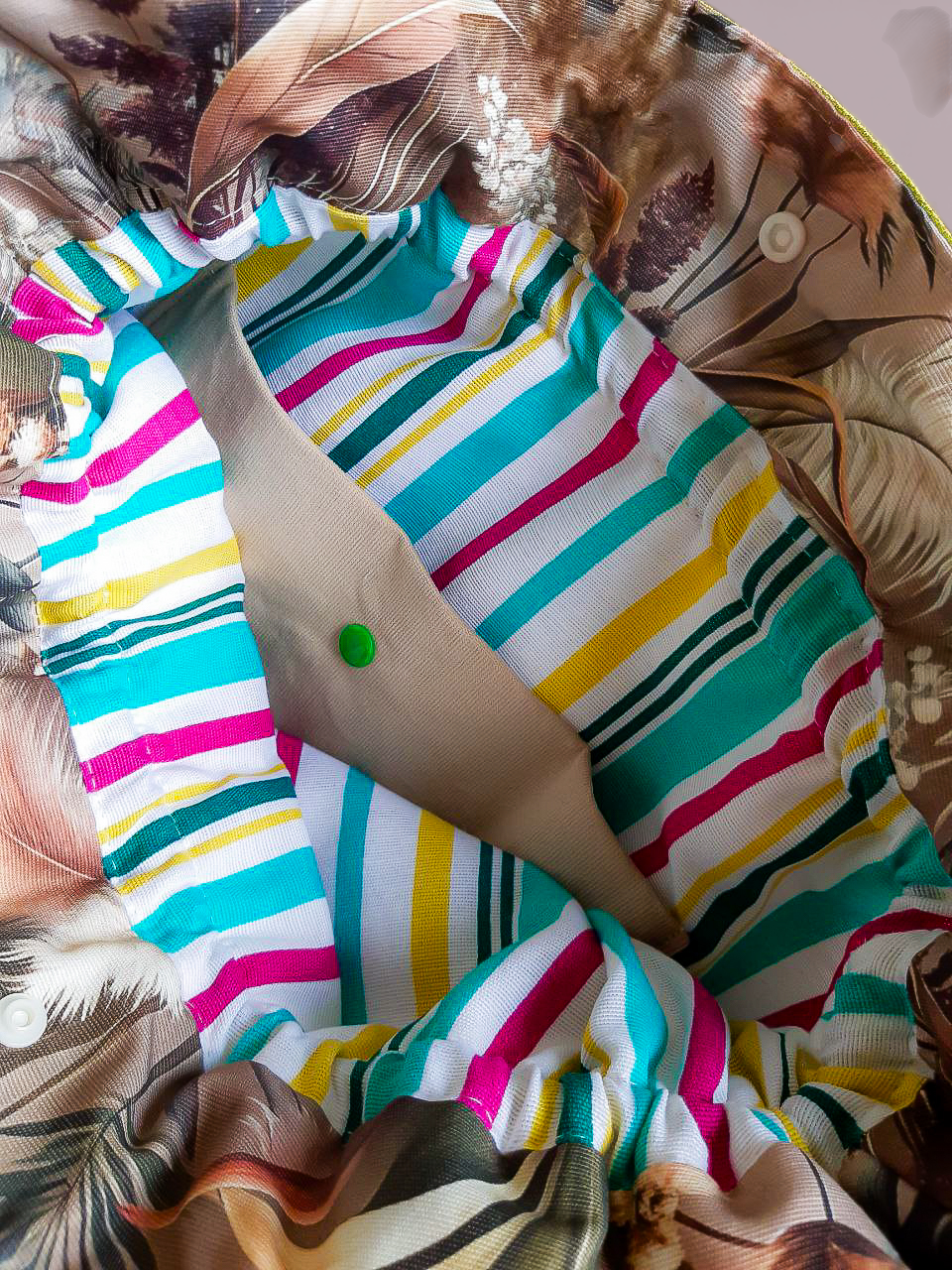 Асканія_АІ (2).png