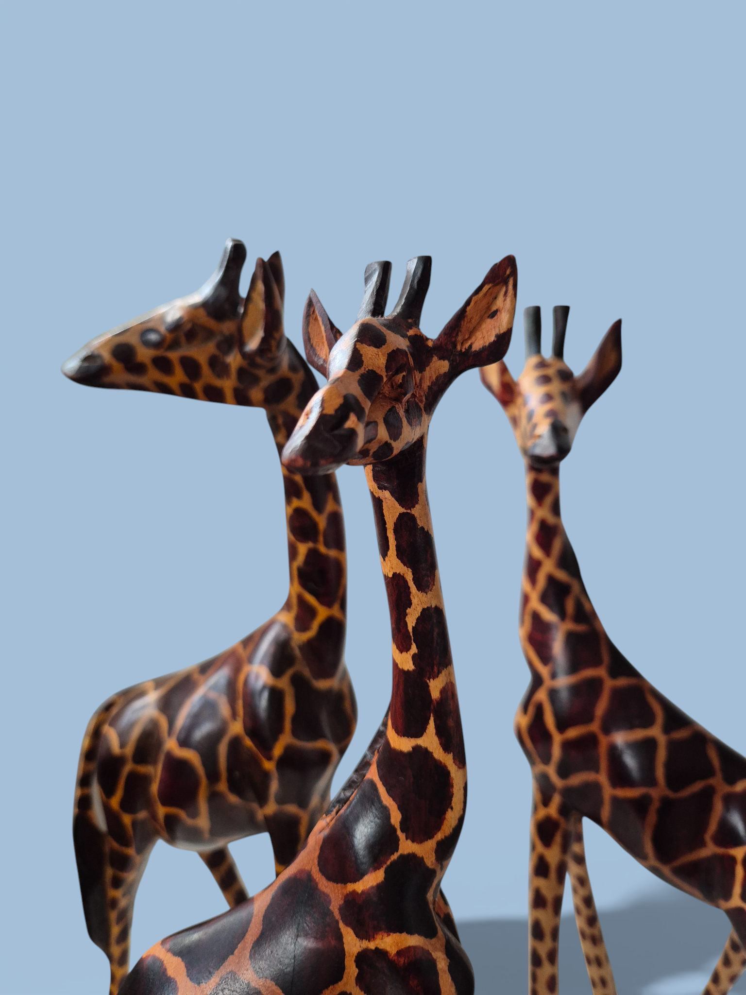 Жирафа Кенія123_АІ (11).png