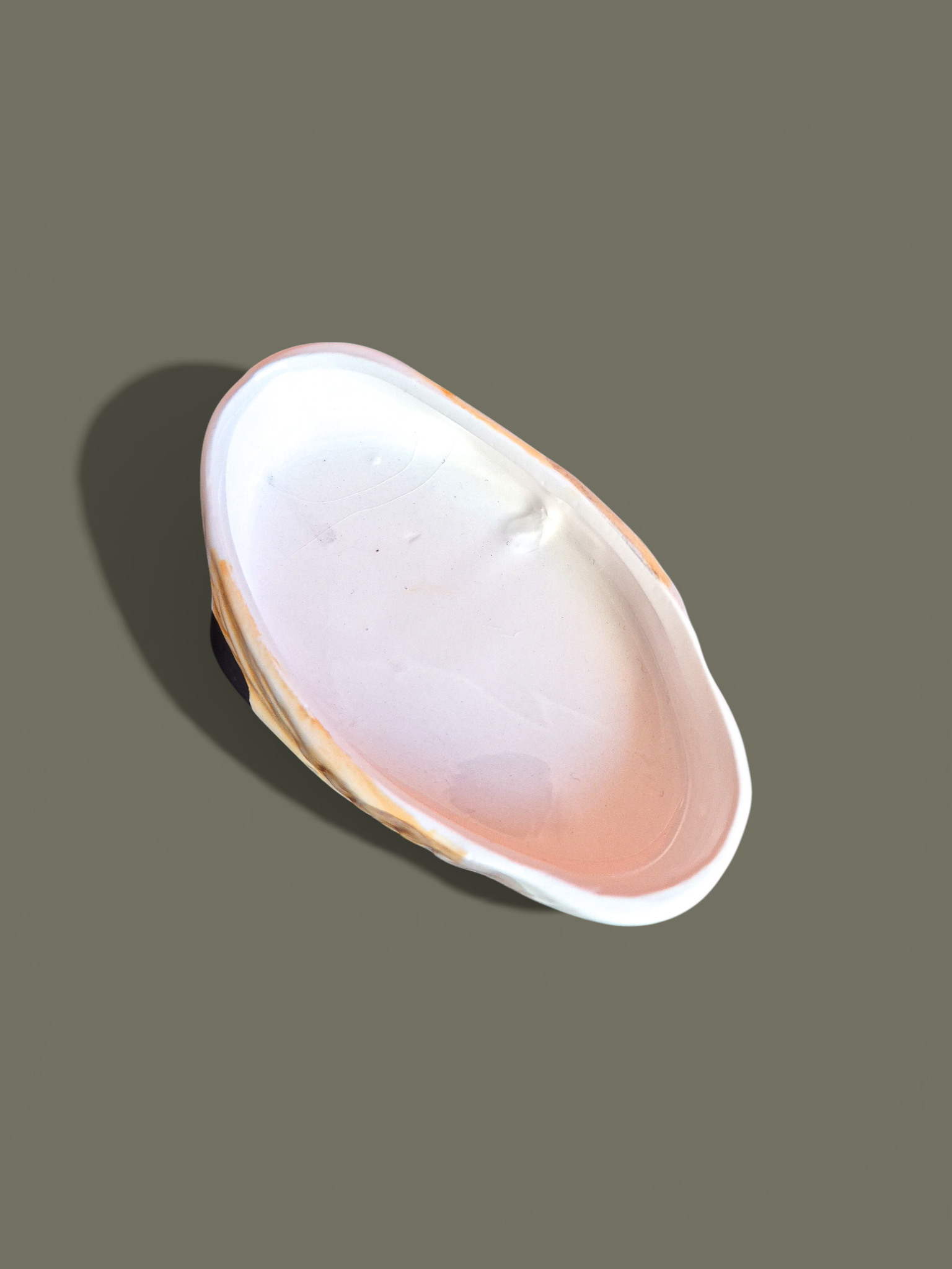 Качка шкатулка_AI (17).png