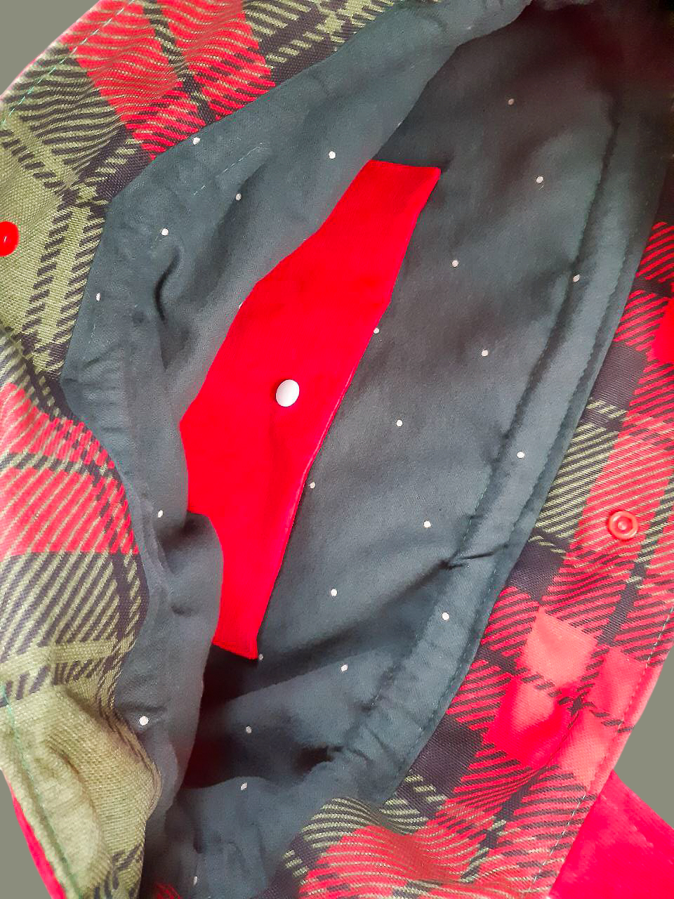 Гранати та шишки_AI (7).png