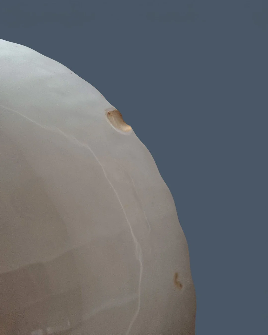 2026-2-080 Тарілка глибока Полювання_AI_007.jpg