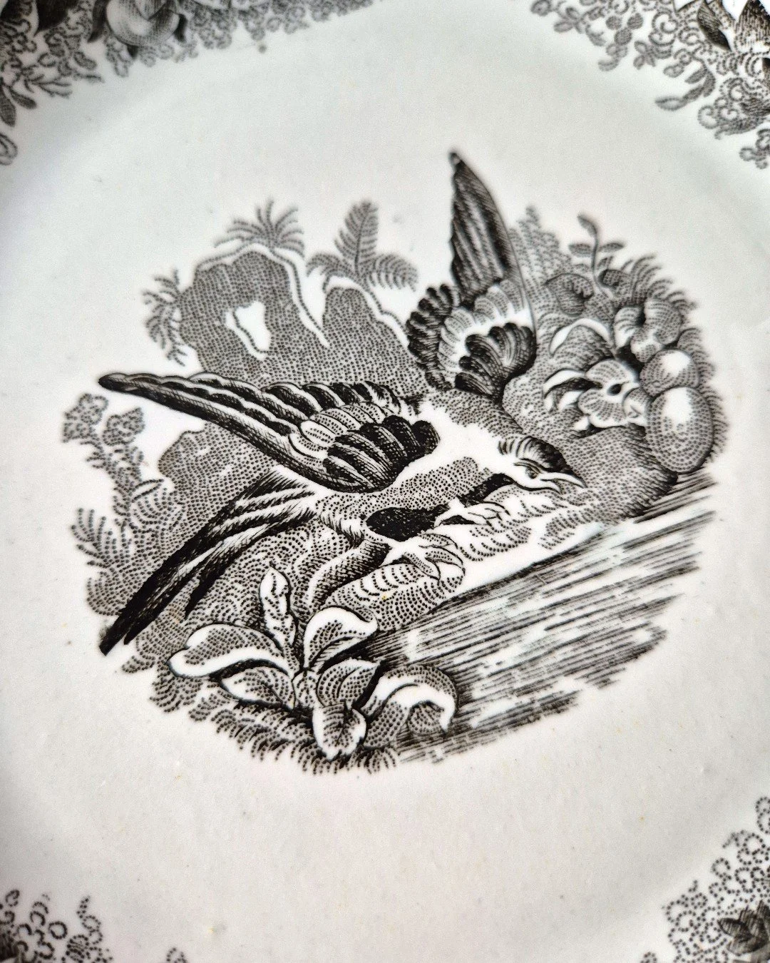 2026-2-086 Тарілка Сойка_AI_AI_AI_AI_AI (1).jpg