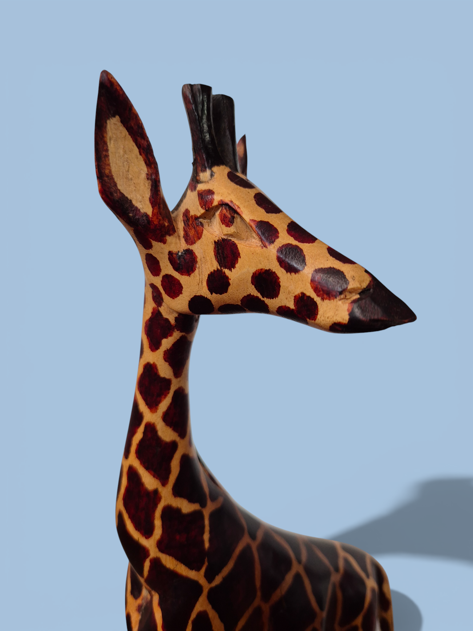 Жирафа Кенія123_АІ (5).png