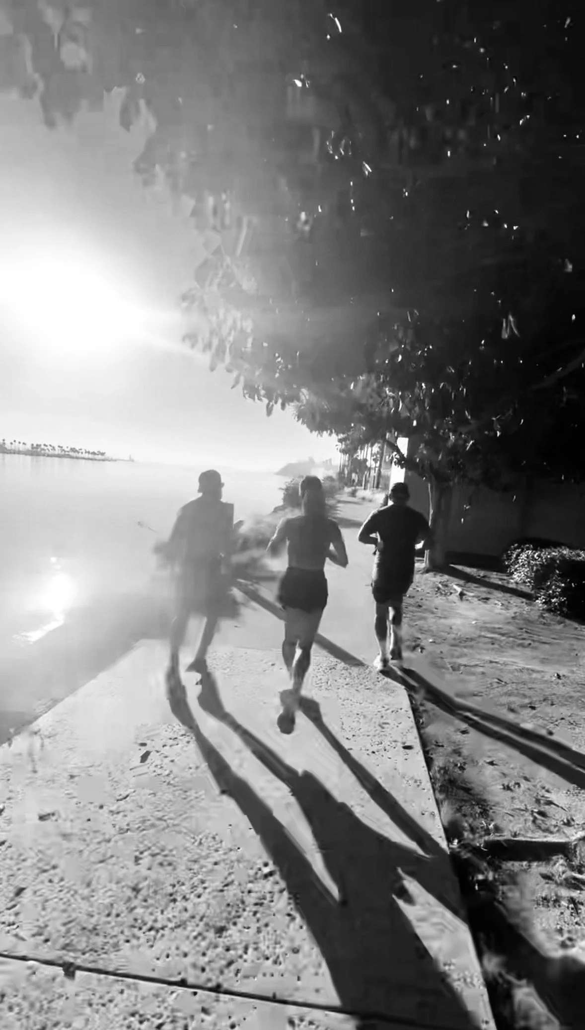 Three people running along a beach at sunset, with their shadows cast on the sand, near water with trees in the background.