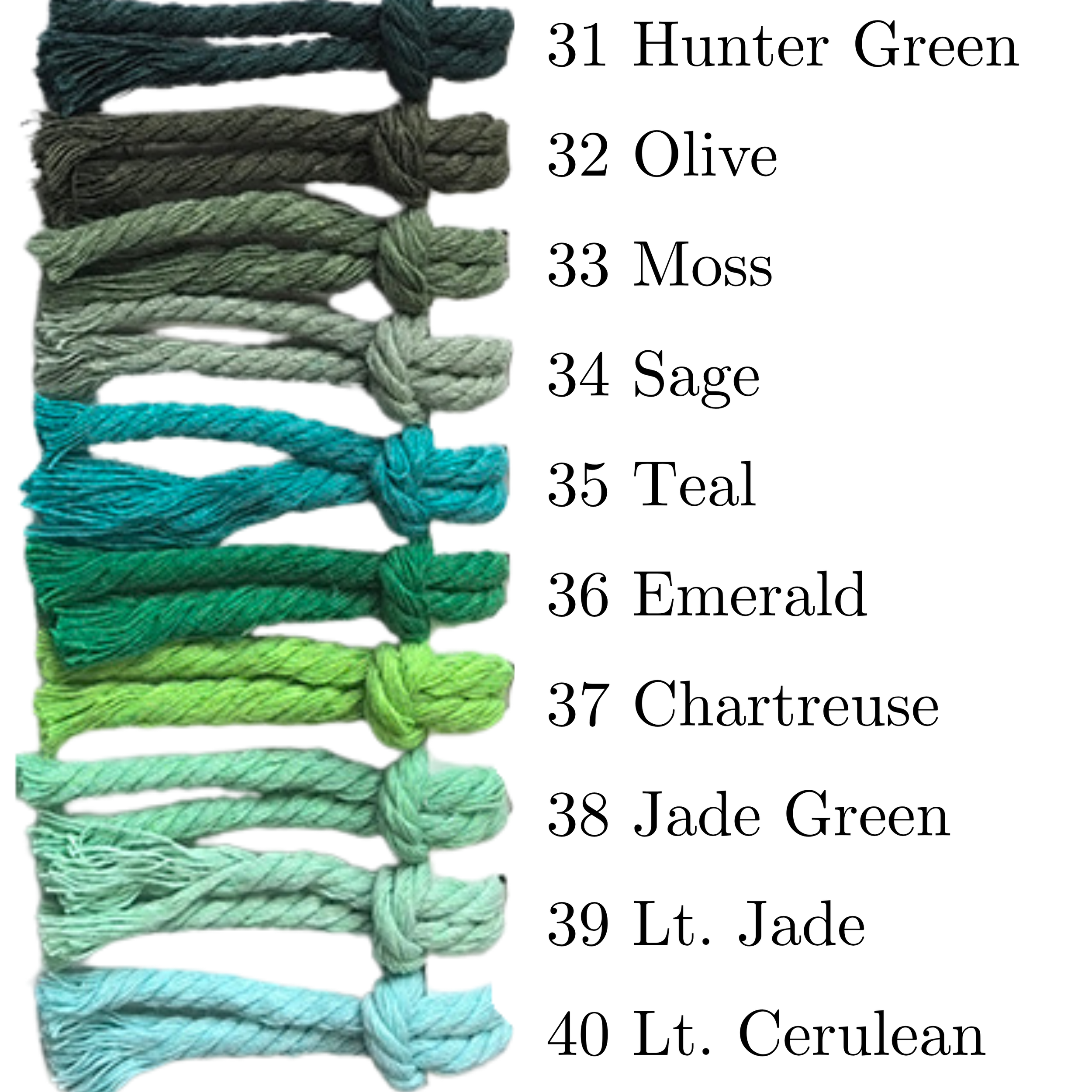 Colors (4).png
