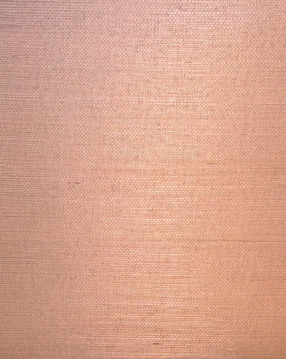 Sisal