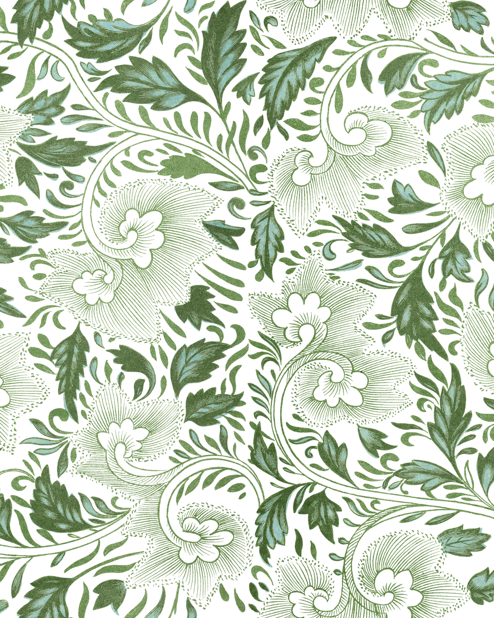 Willow Vine