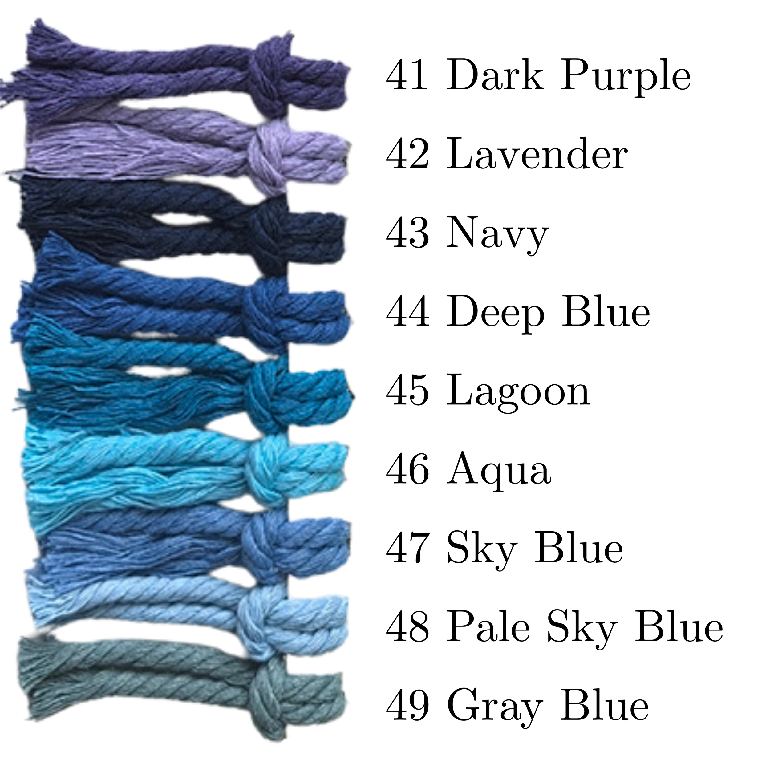 Colors (5).png
