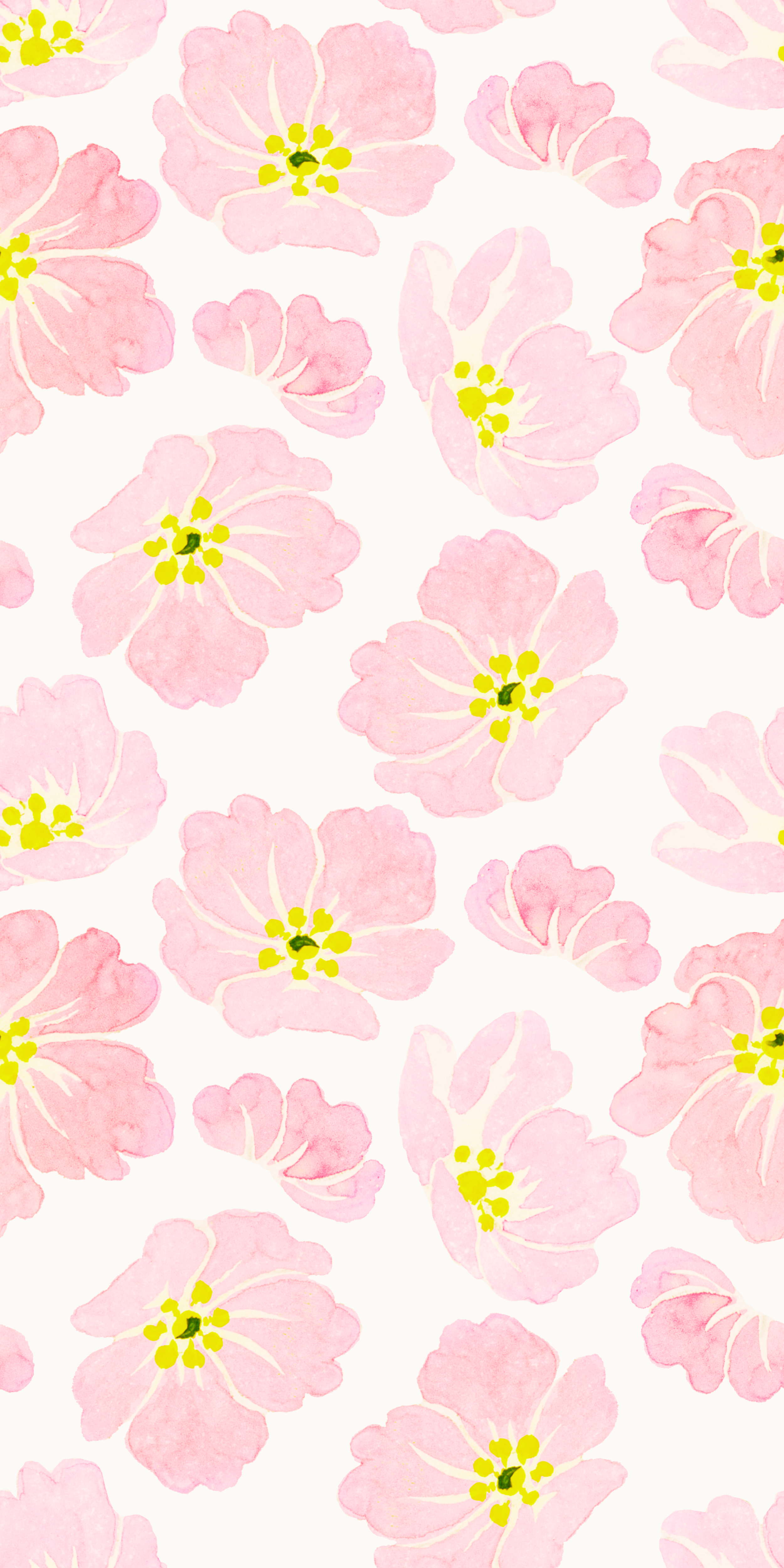 22087090 Blush on Gallery White.png