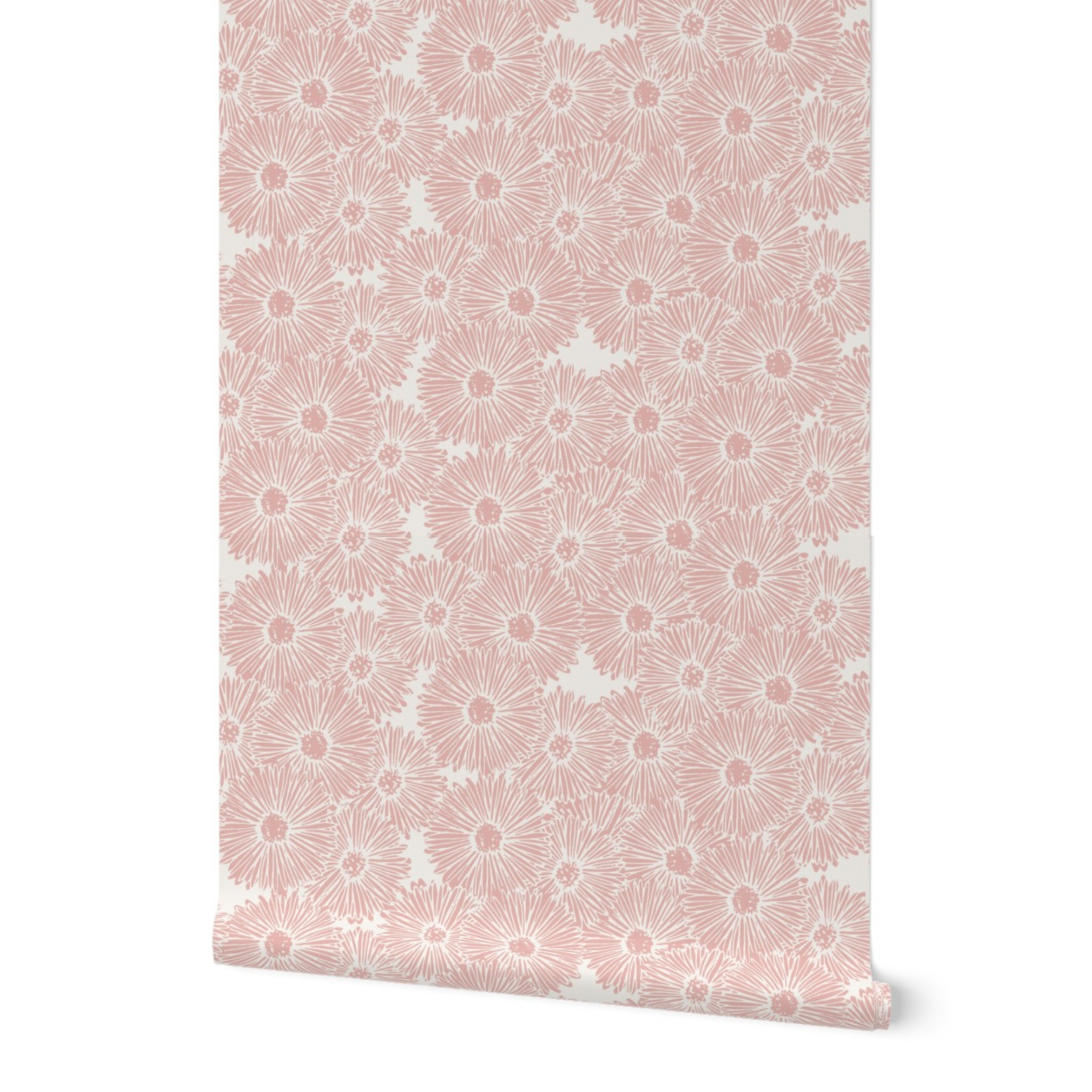 Daisy Bell in Blush