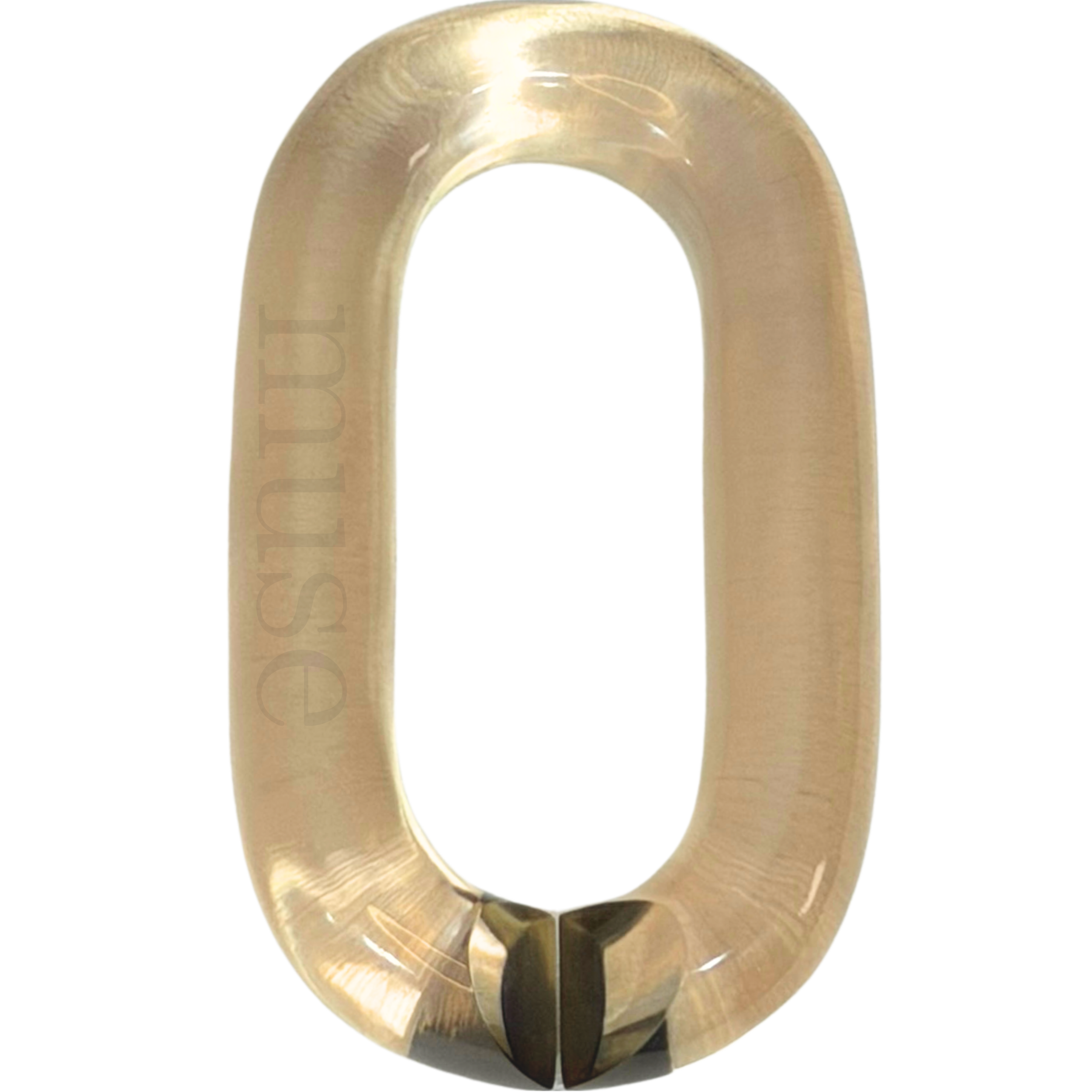 Oyster
