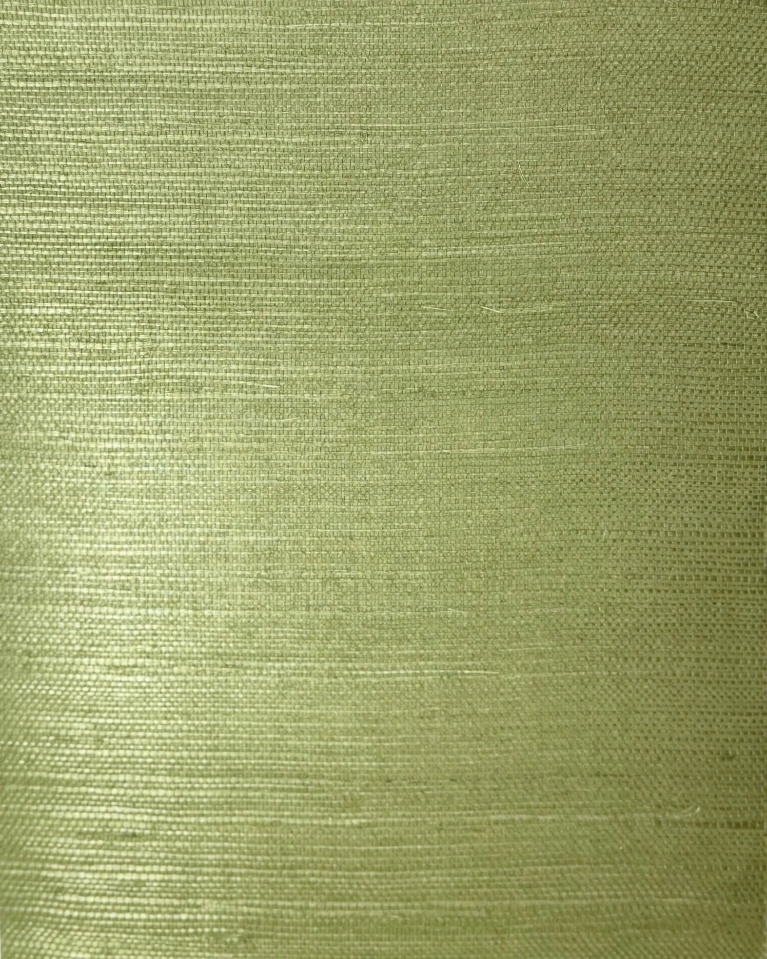 Sisal