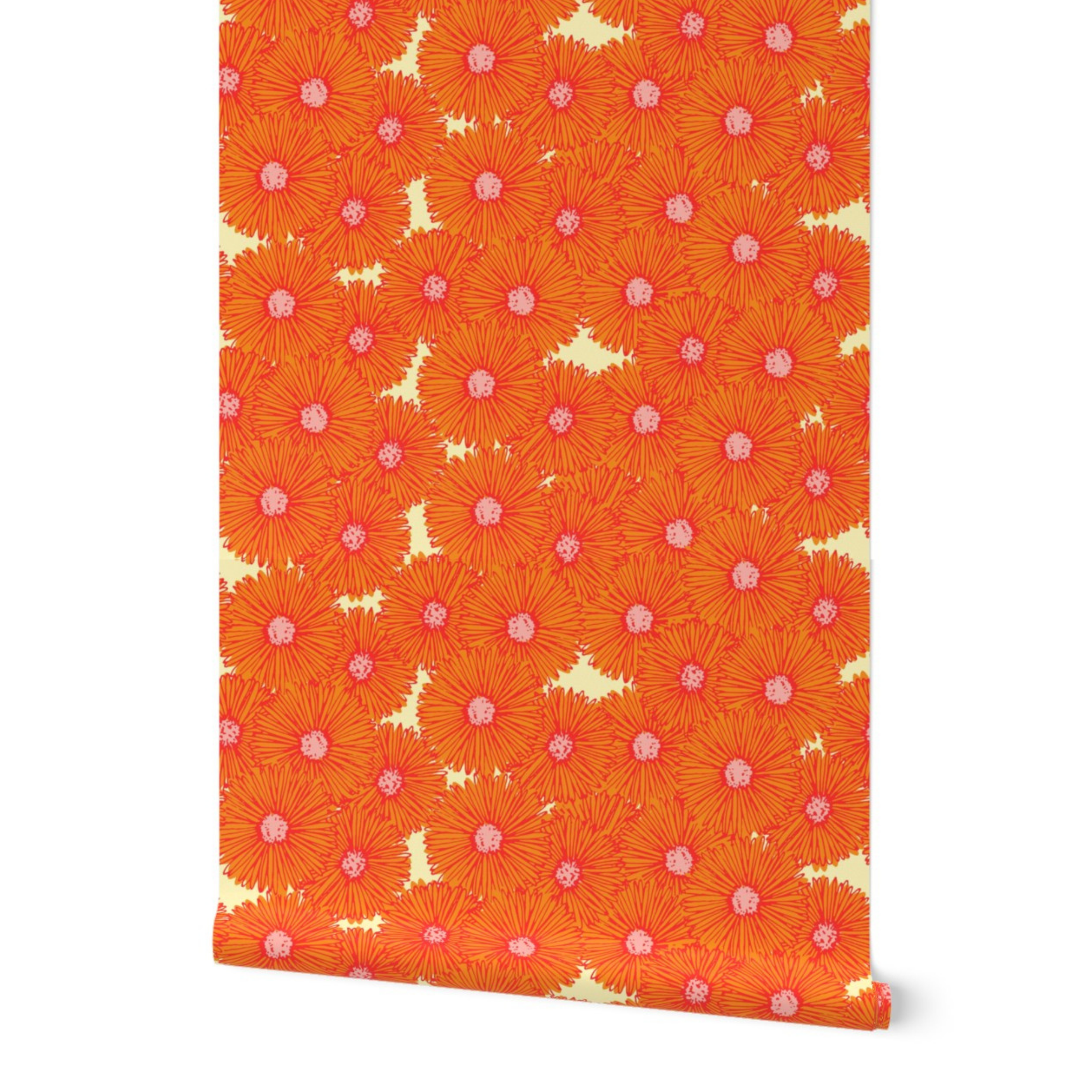 Daisy Bell in Orange Crush