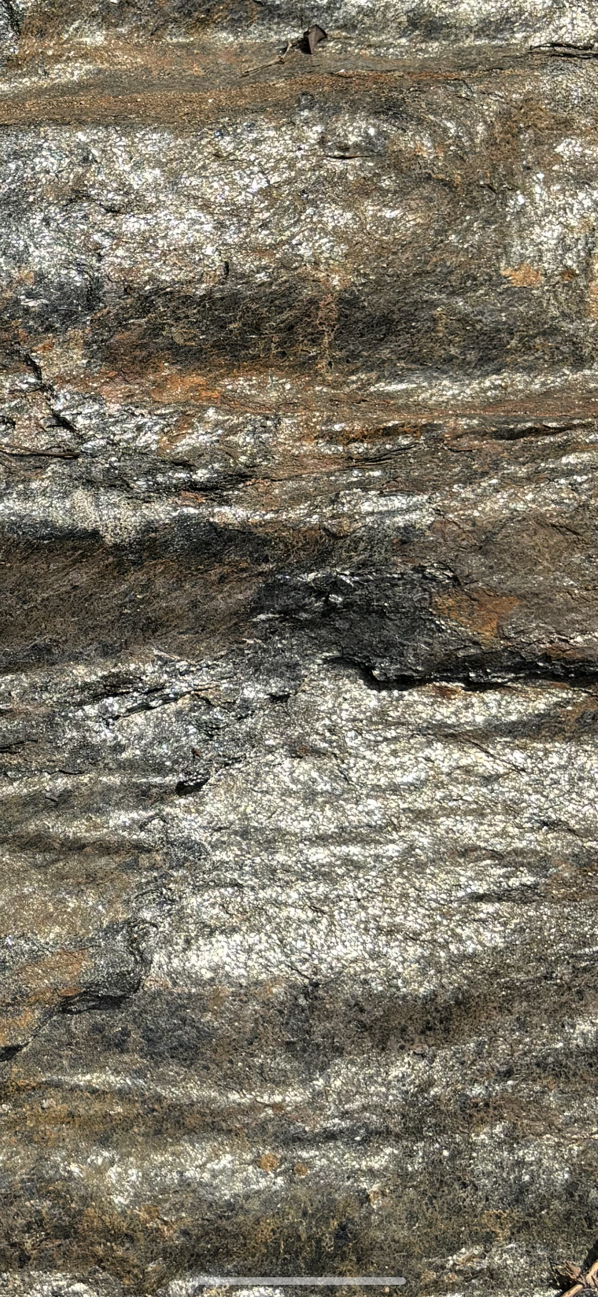 Close-up of a textured, dark brown and black rock surface with patches of white and gray lichen or mineral deposits.