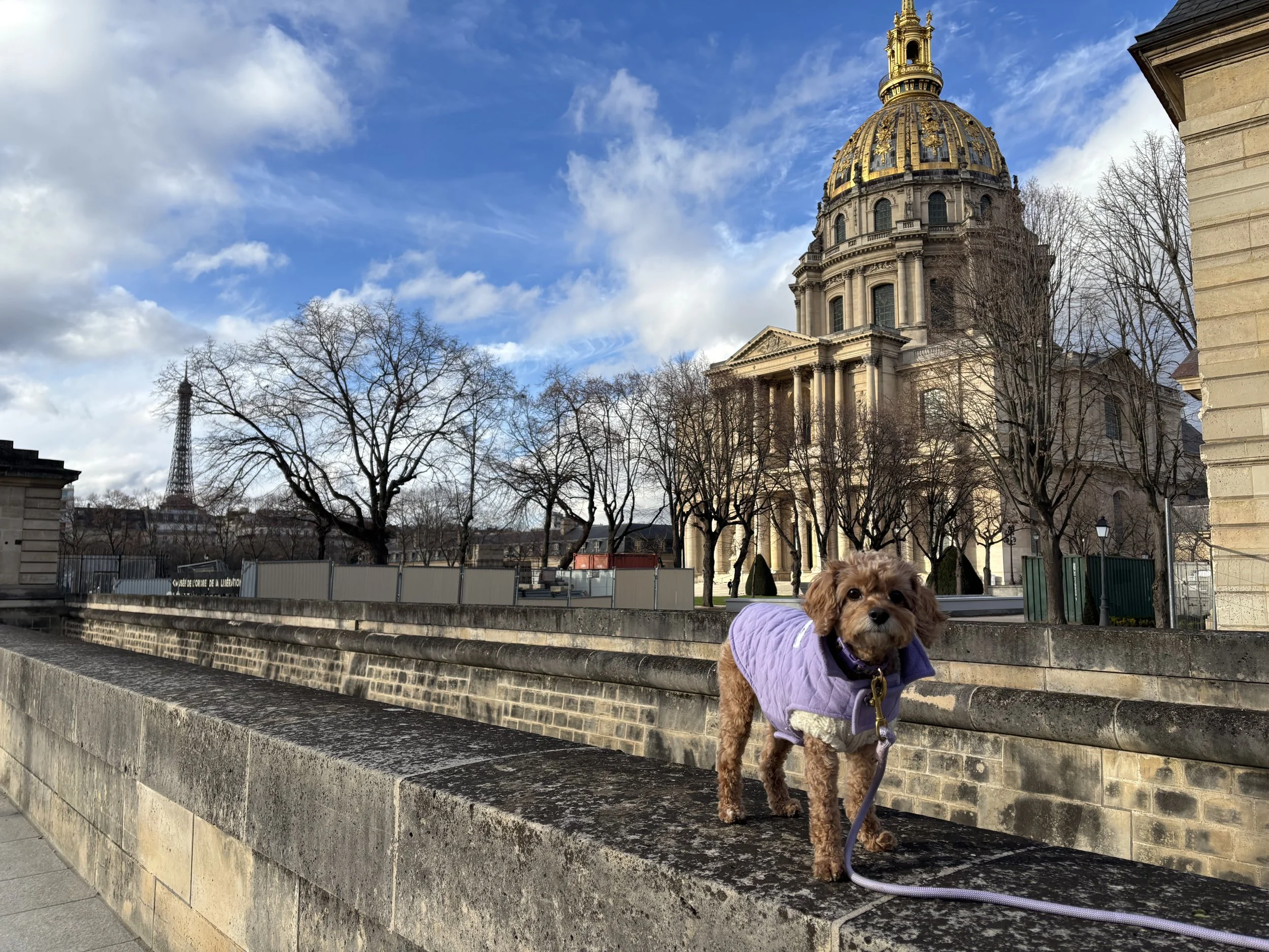 Anya posing in front of L'Hotel des Invalides &amp; the Eiffel Tower
