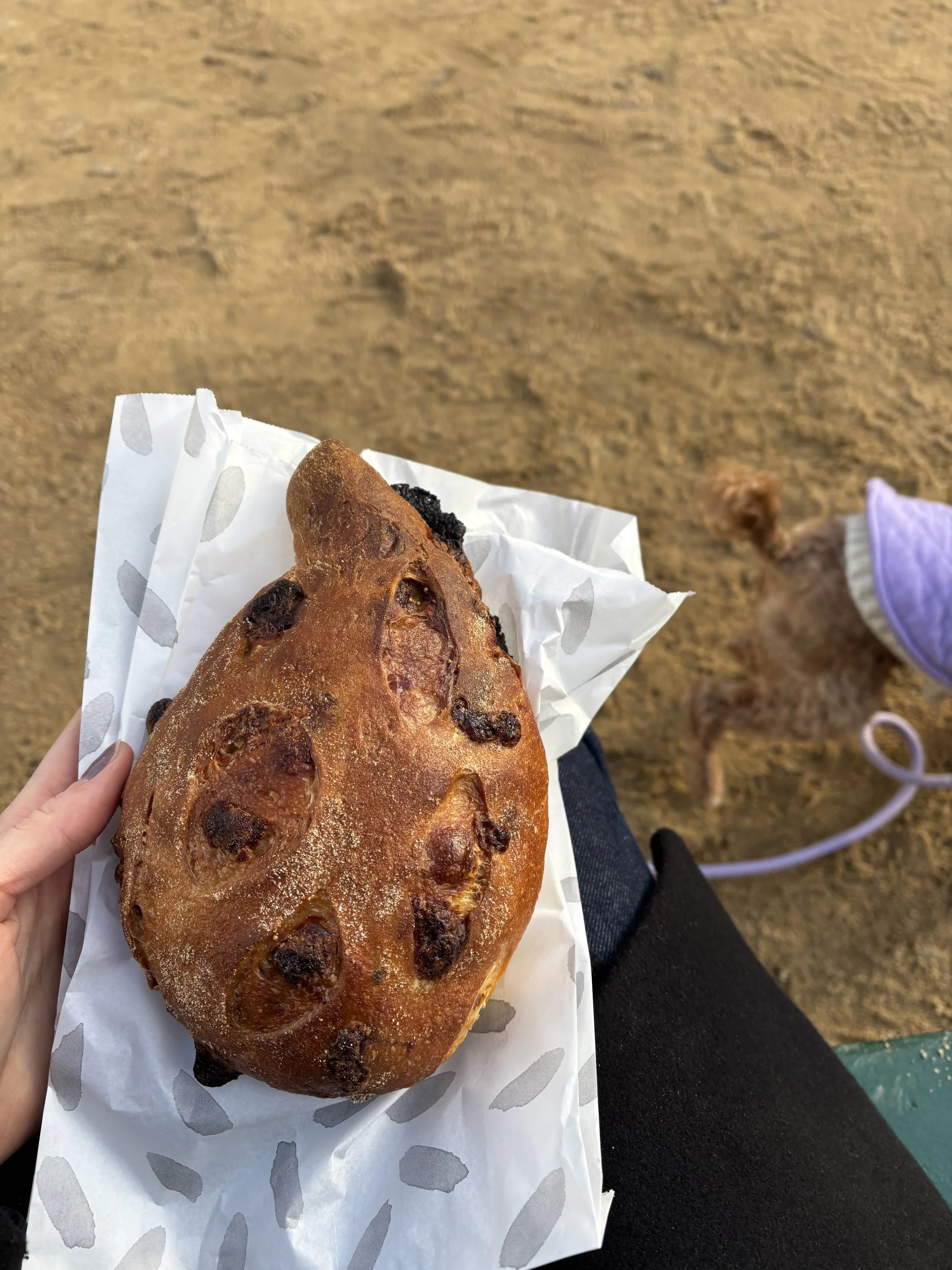 That pistachio pastry had me questioning whether a bread program was the right pick, until I bit into this loaf of fig bread. Bread program was the right move, all the way.