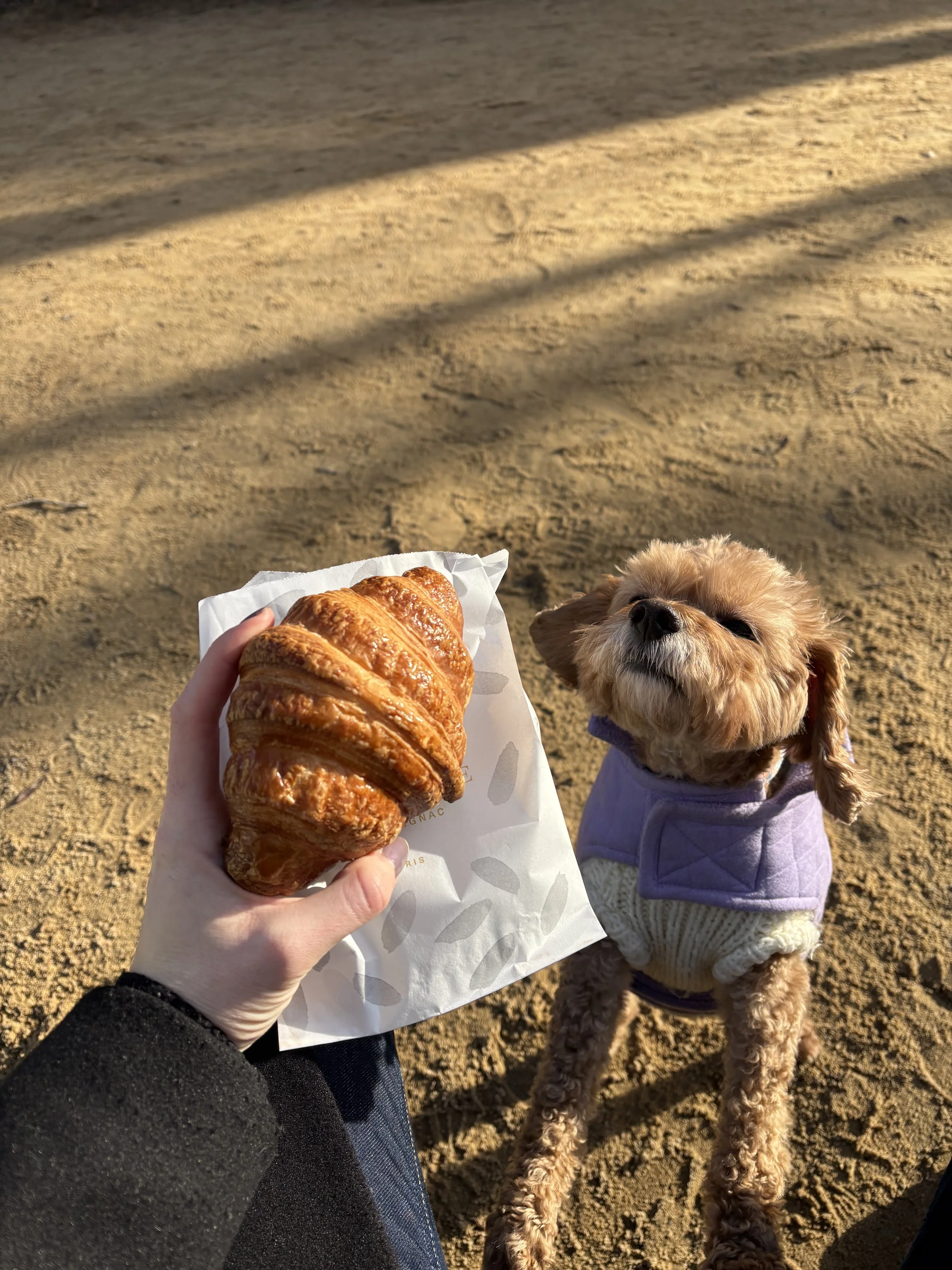 Anya loves croissants