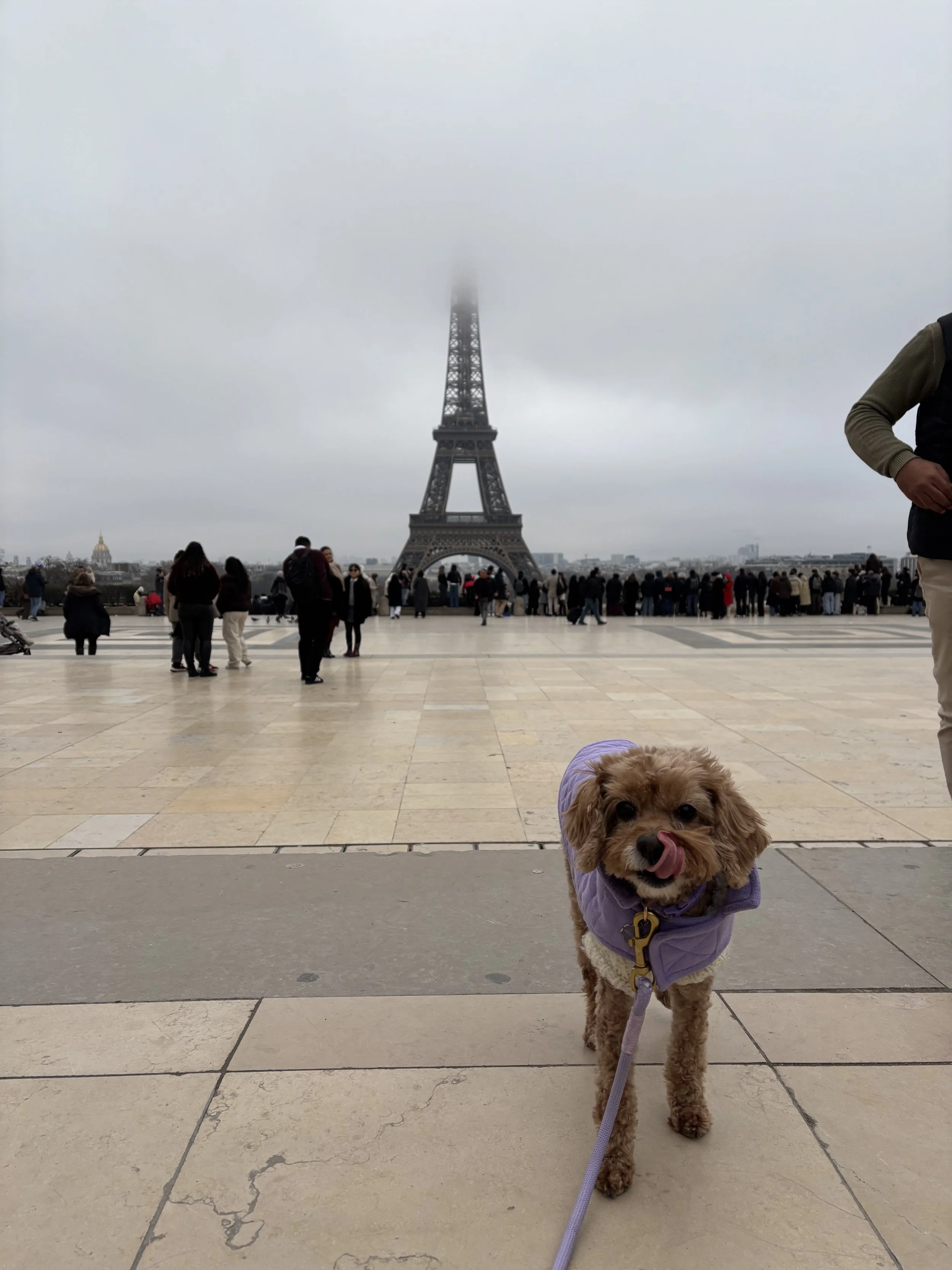 Anya's first day in Paris