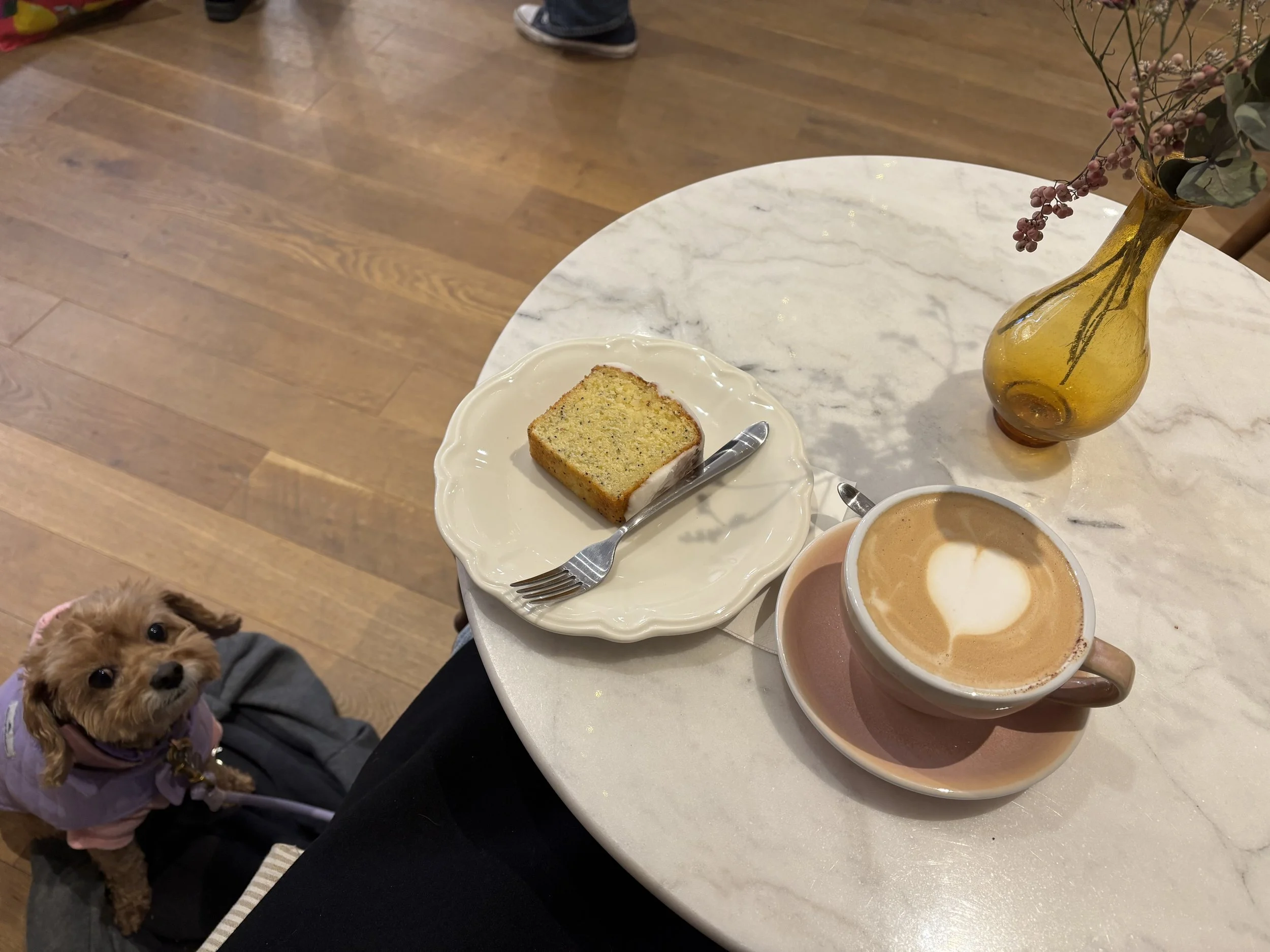 Peep Anya's set up, for every cafe