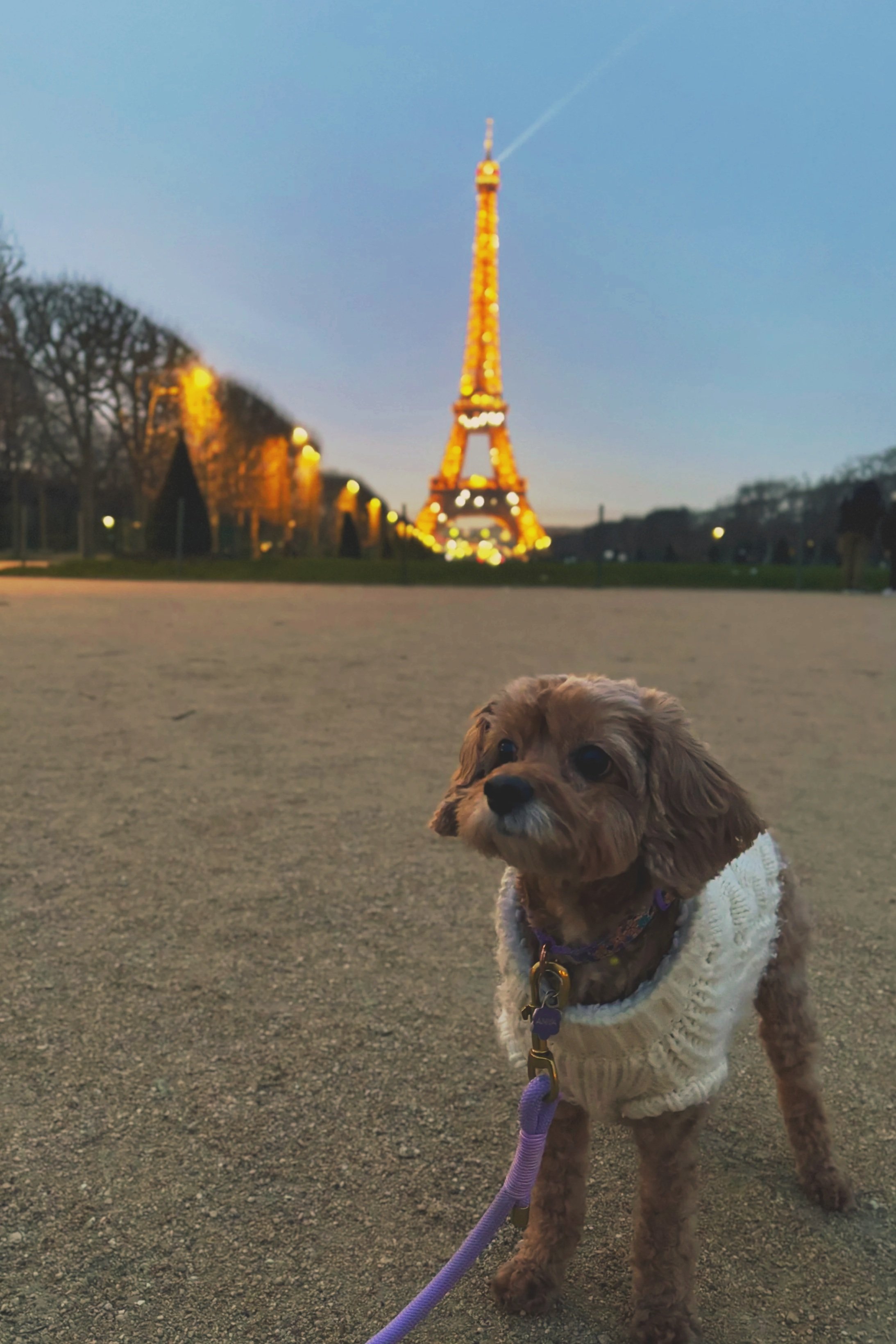 First week in Paris - c’est complet!