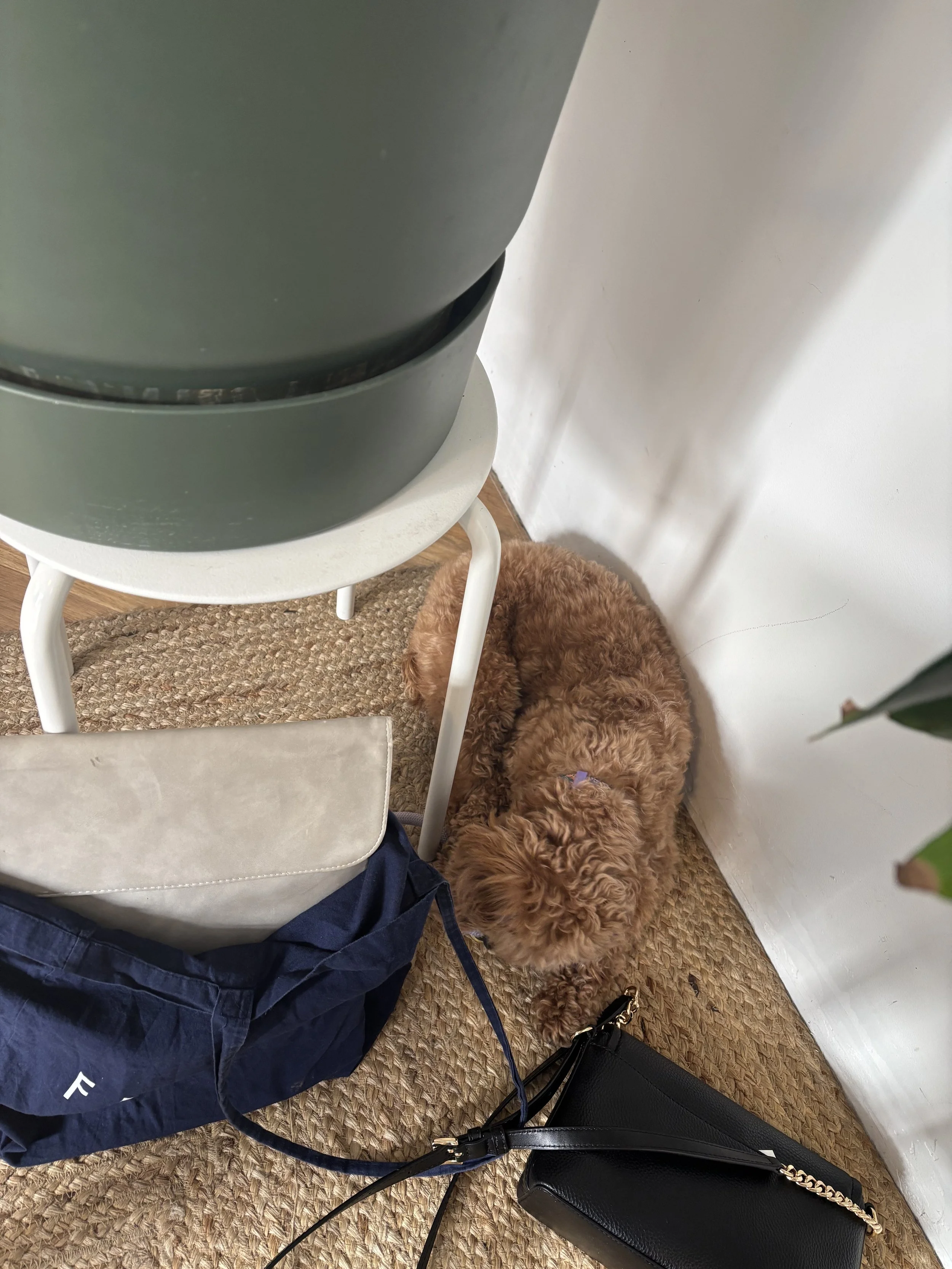 Anya is the best cafe buddy <3