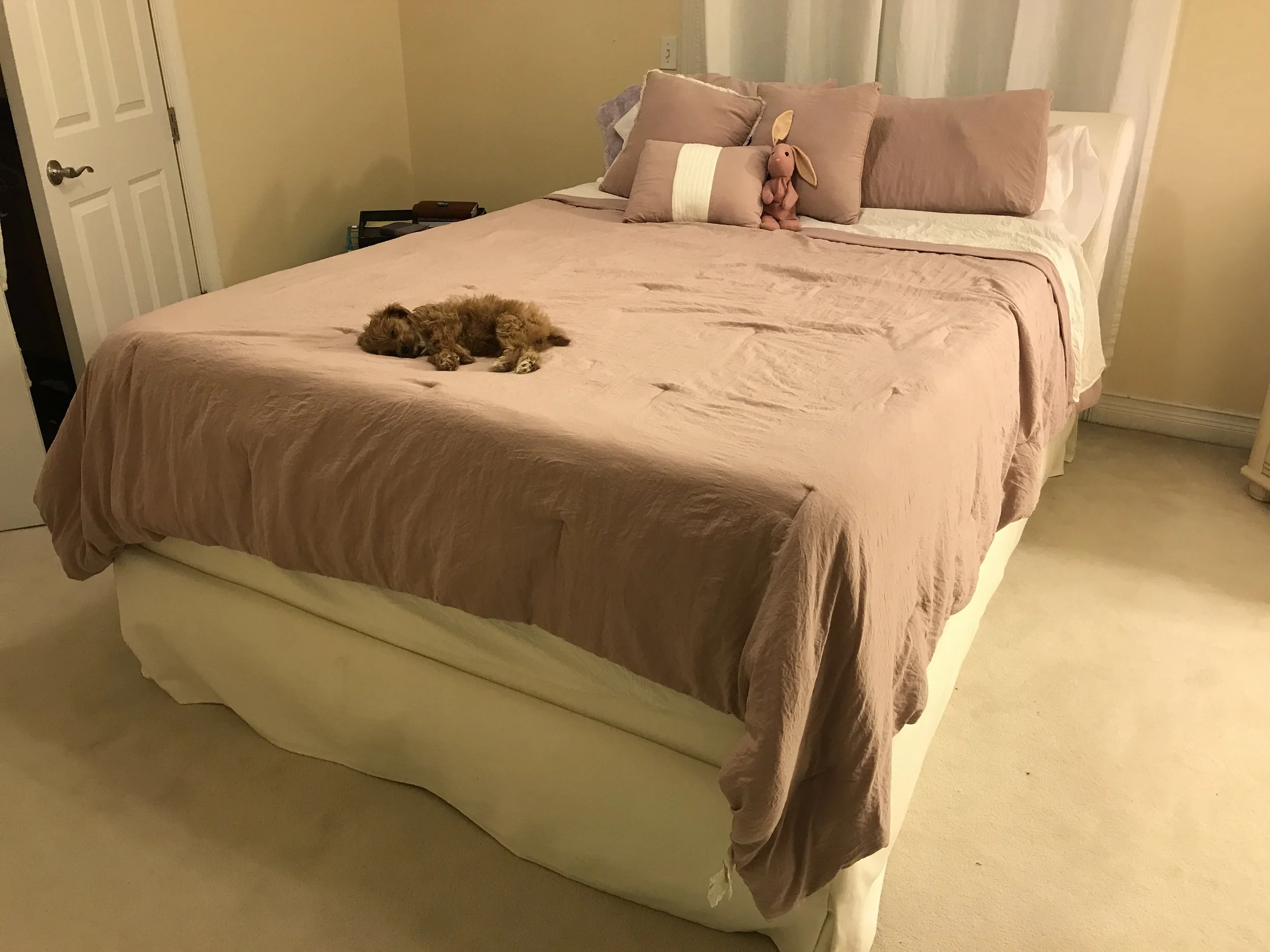 Little Anya in a big bed, Michigan, 2020