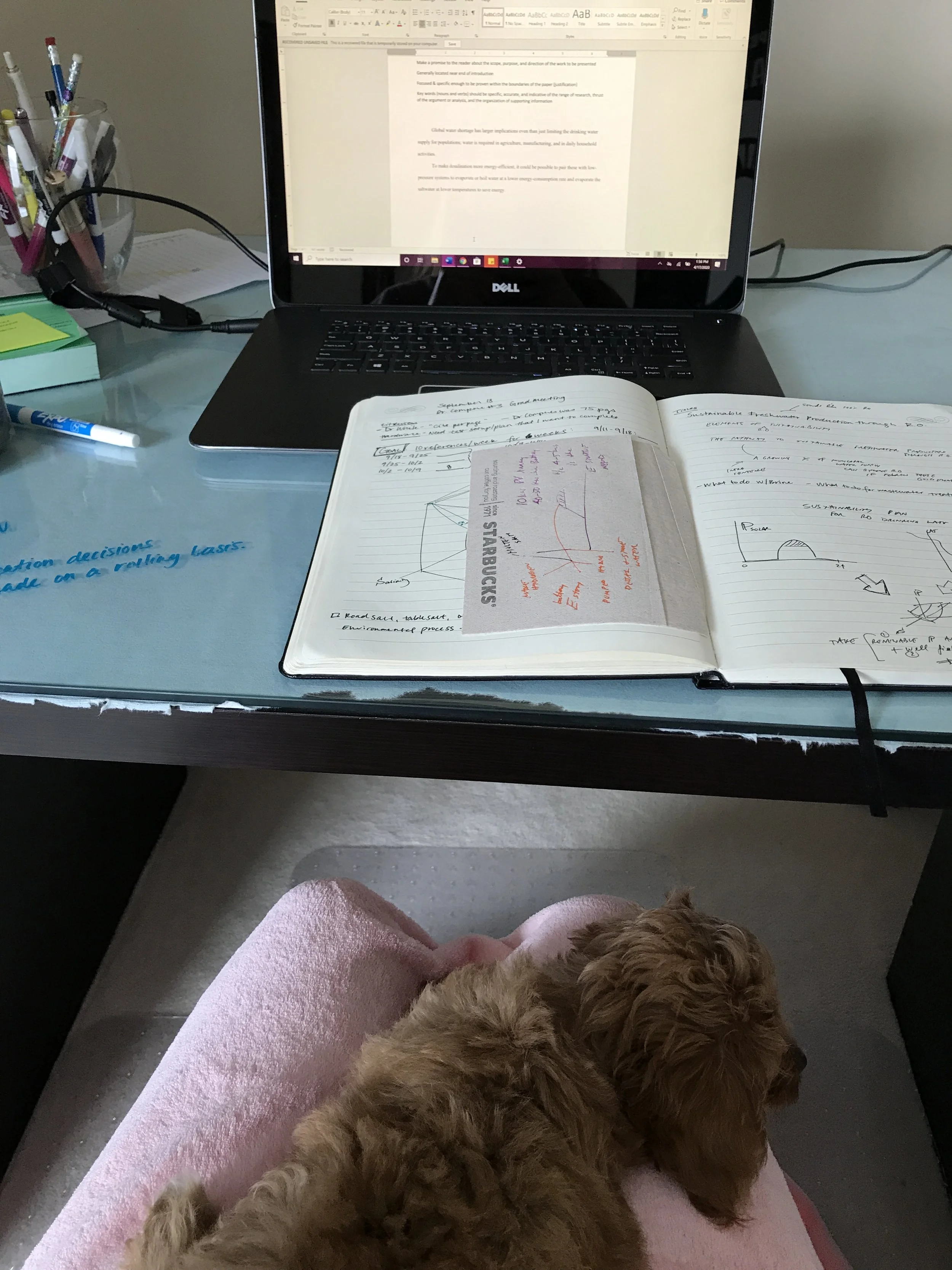 Thesis prep during lockdown, Michigan, 2020