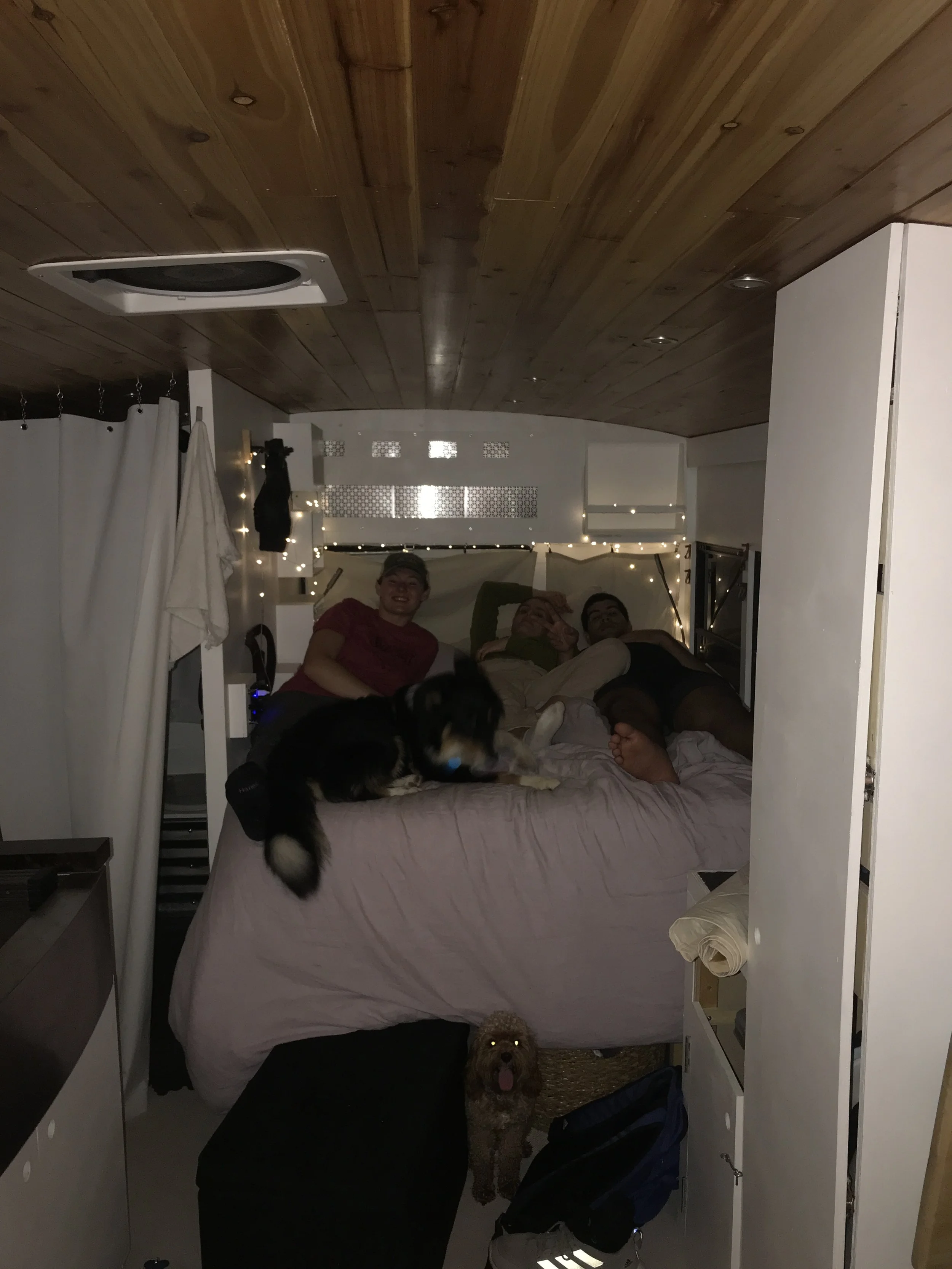 Roomies in the bus, 2021