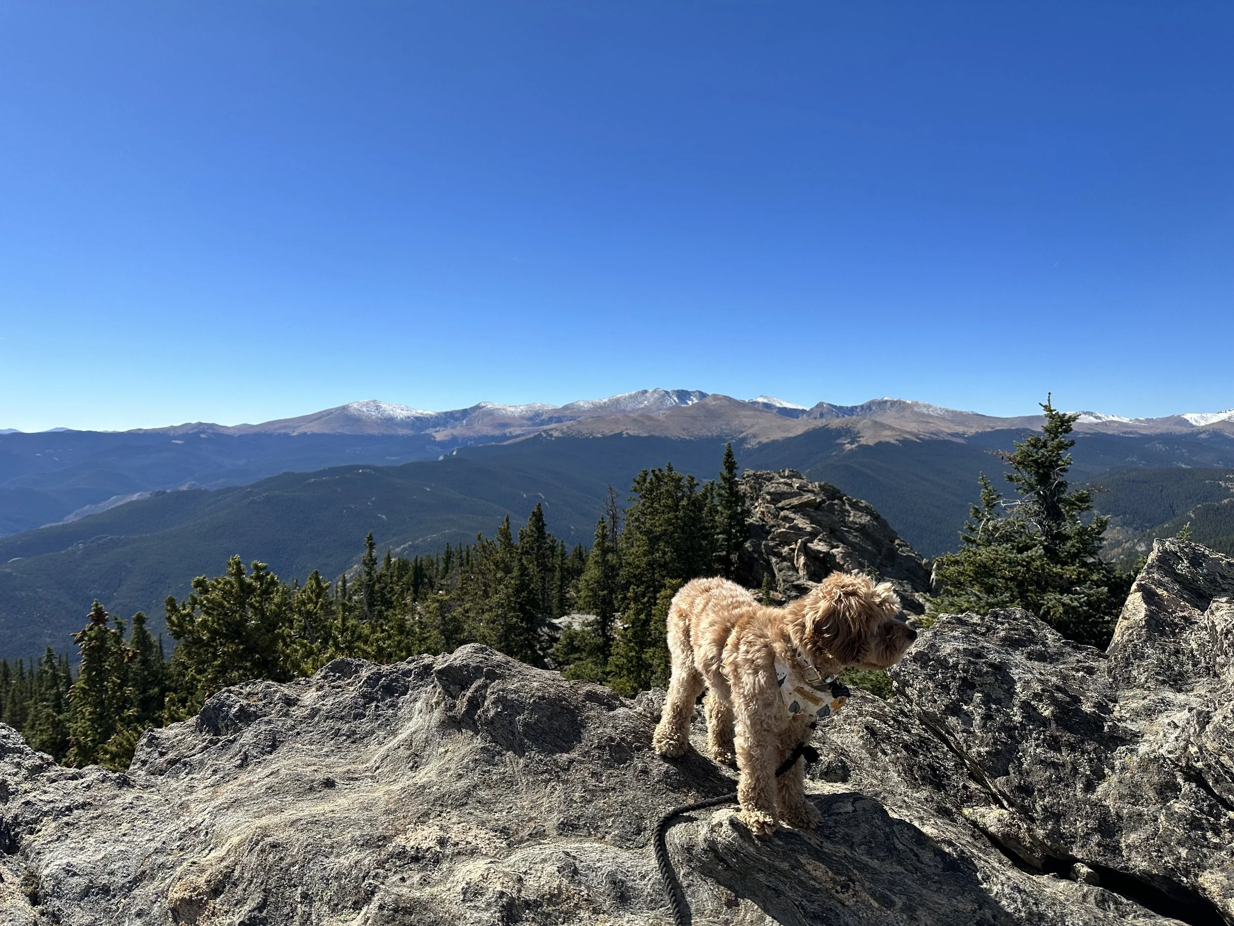 Colorado, Fall 2022